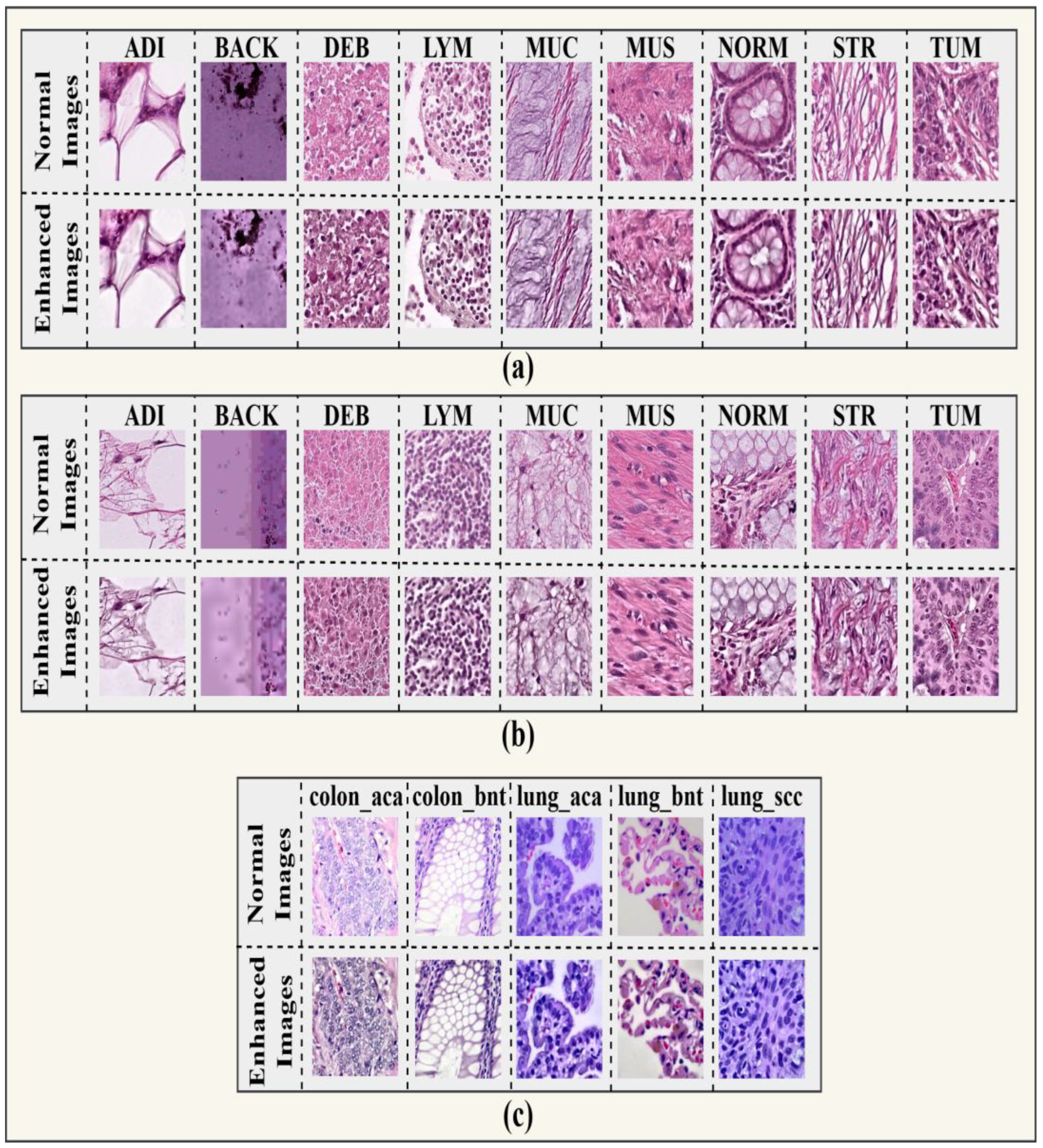 Preprints 189913 g004