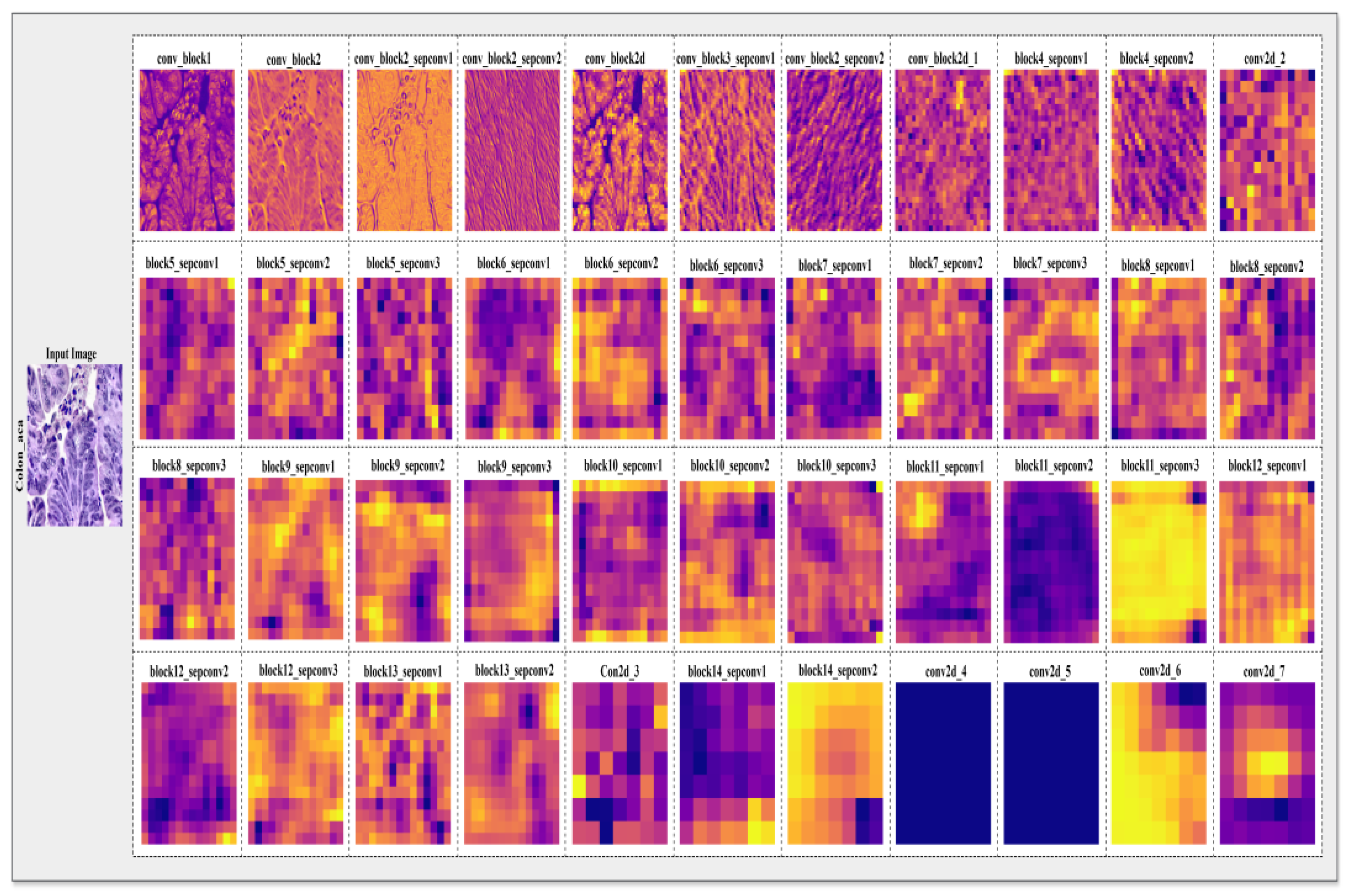 Preprints 189913 g022