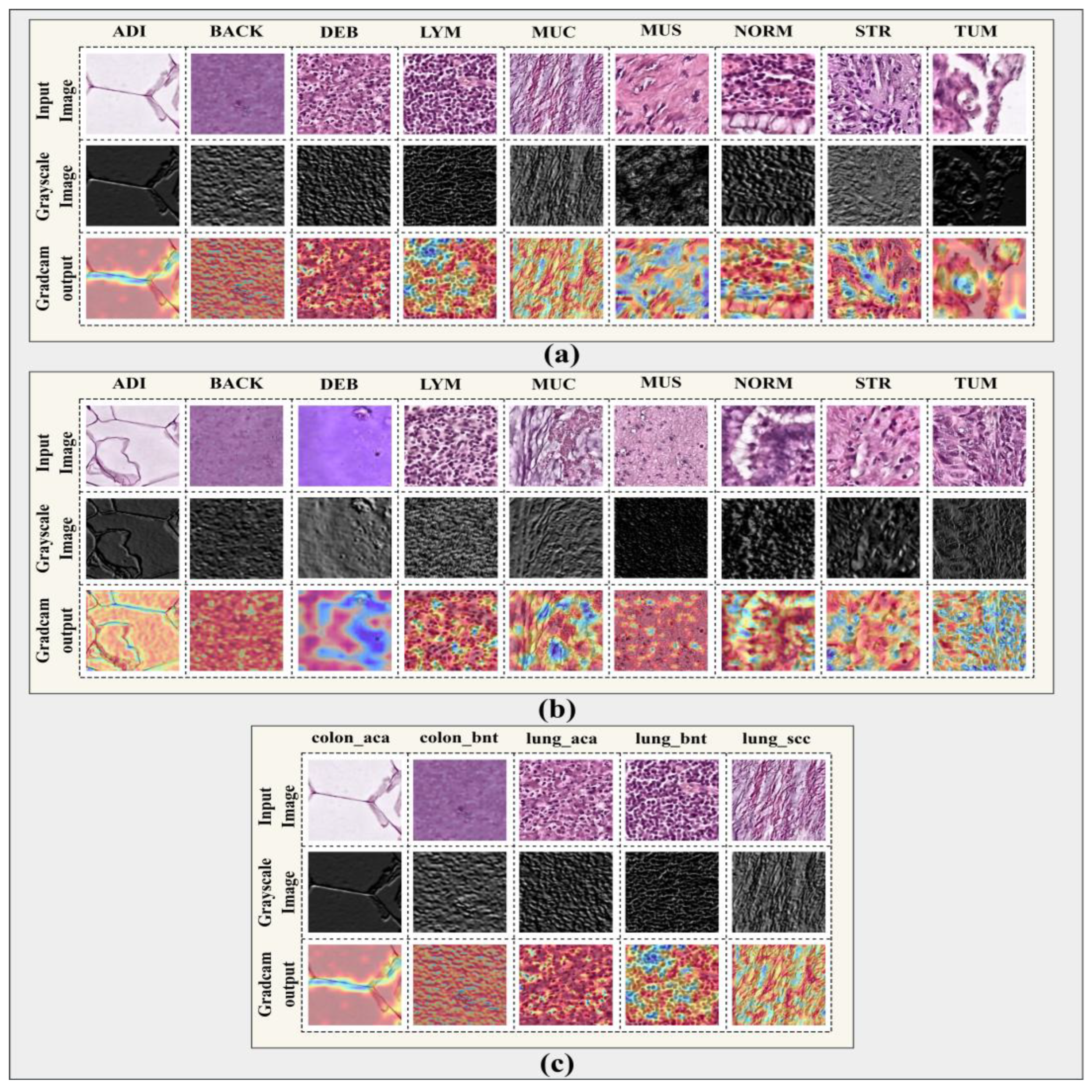 Preprints 189913 g023