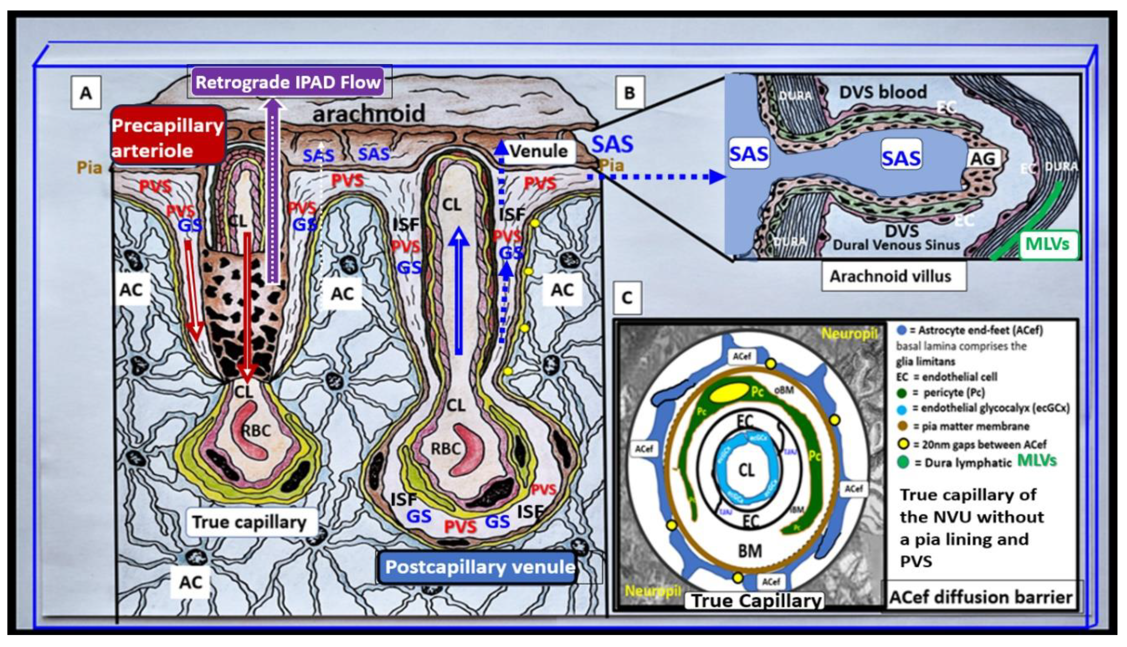 Preprints 183279 g002