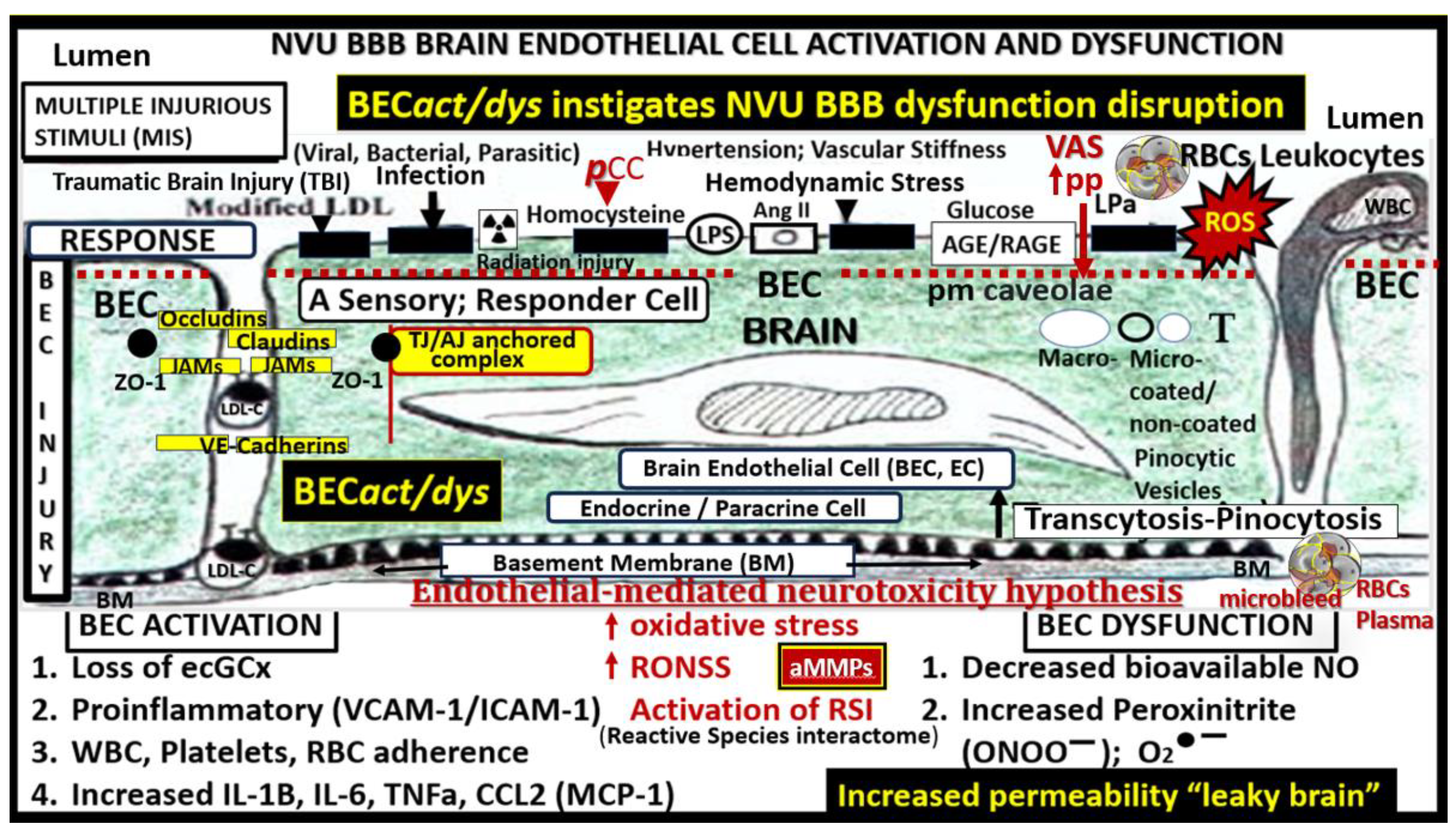 Preprints 183279 g005
