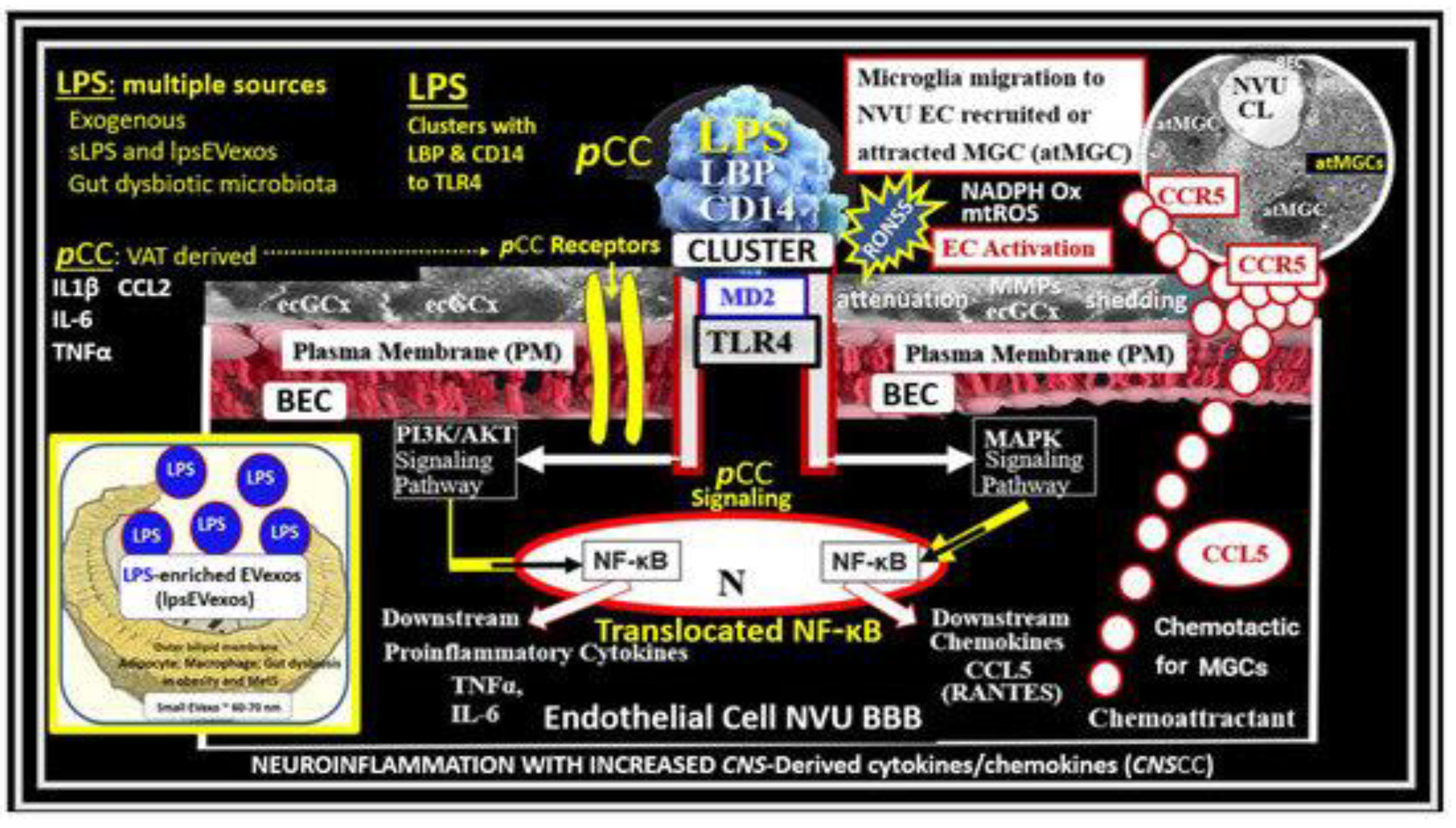 Preprints 183279 g006