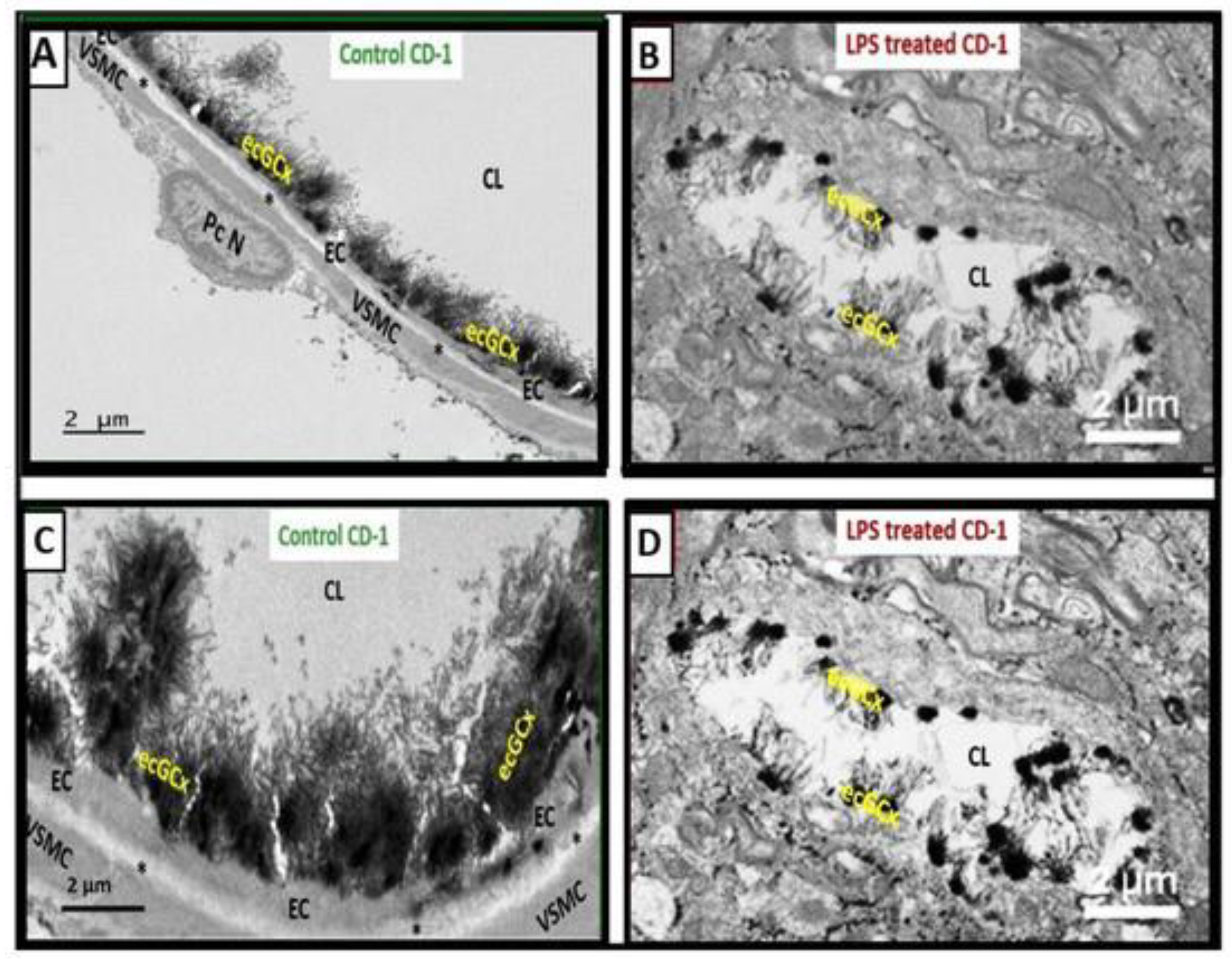 Preprints 183279 g007