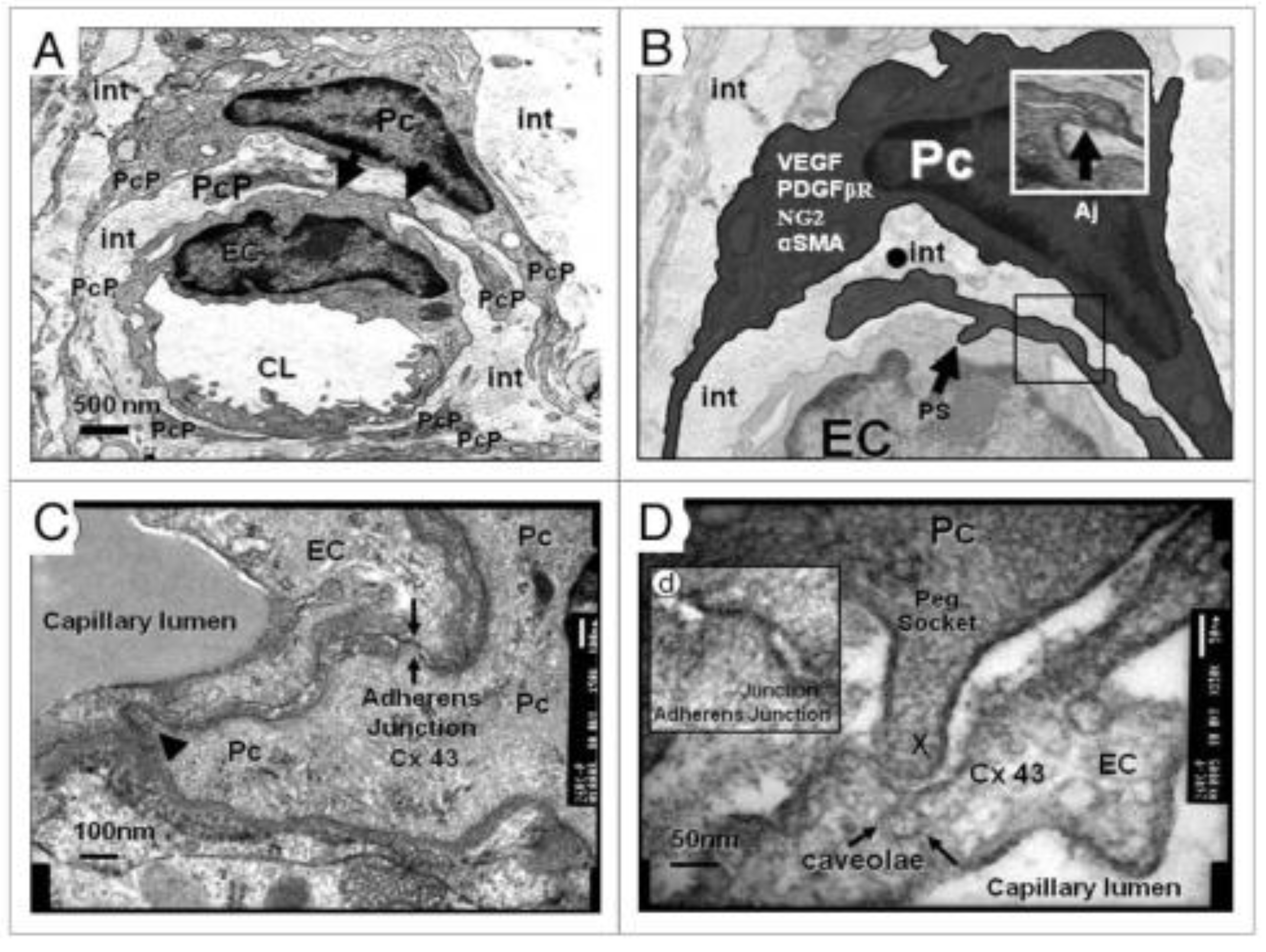Preprints 183279 g008
