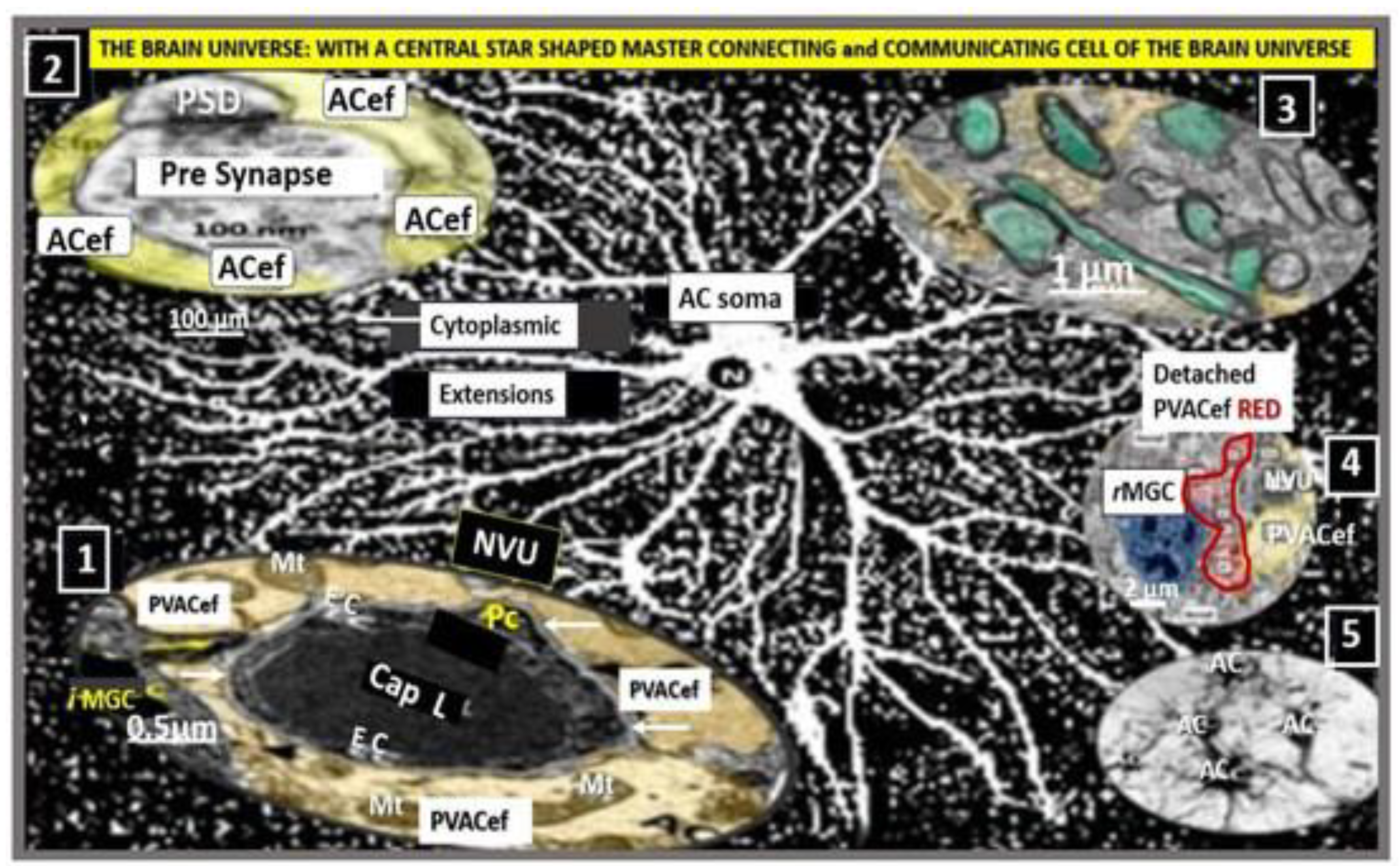 Preprints 183279 g009