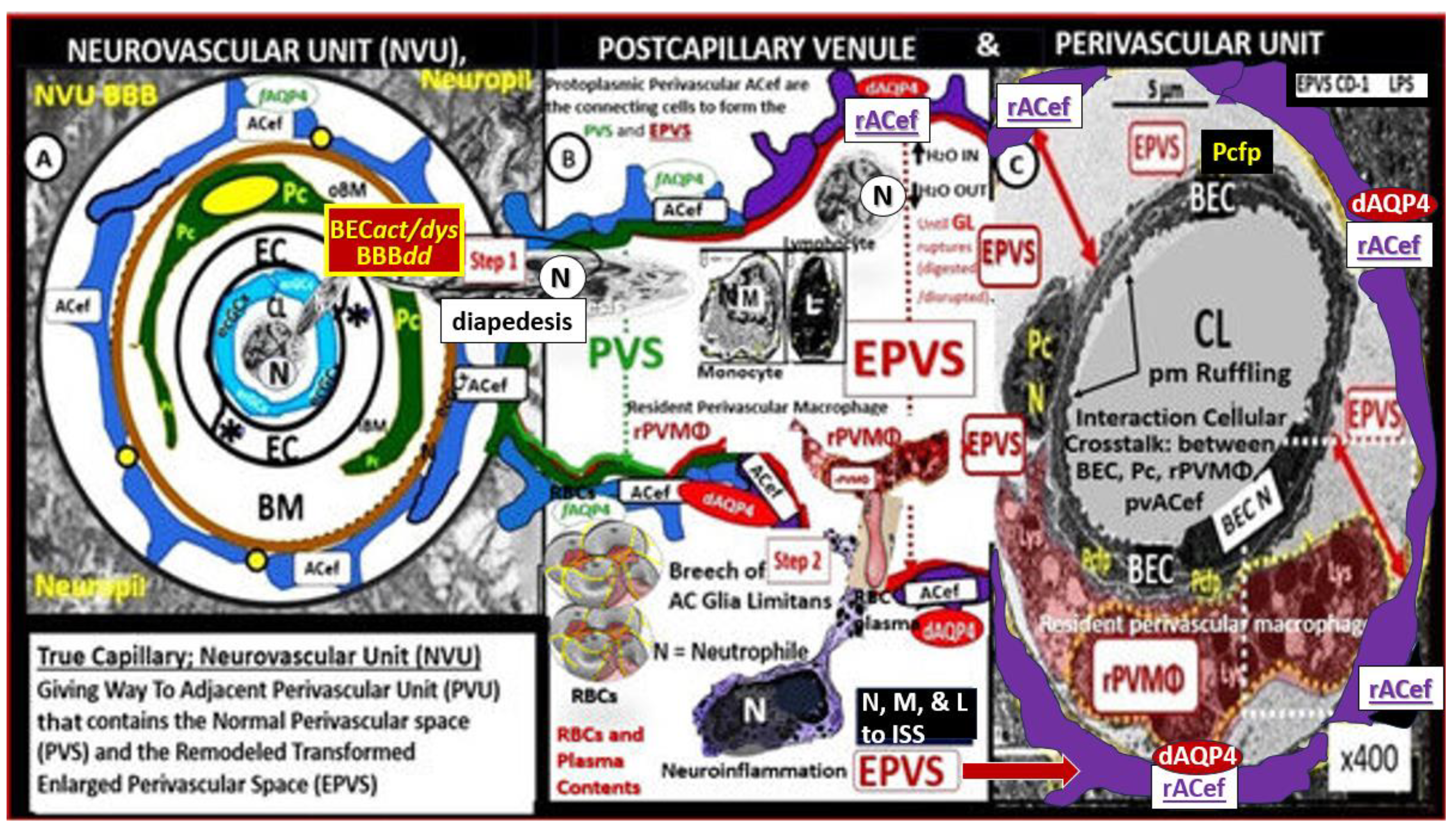 Preprints 183279 g010