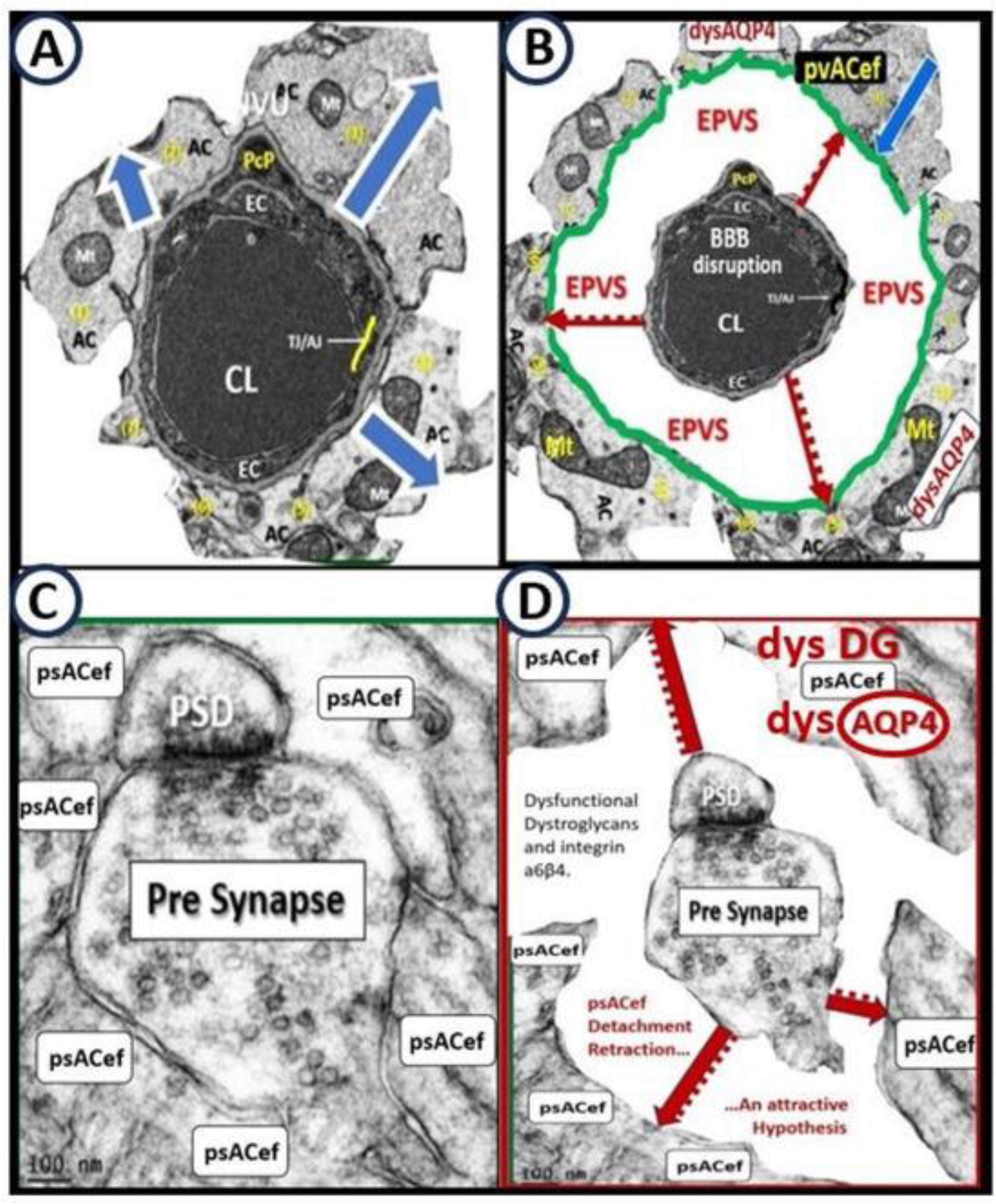 Preprints 183279 g011