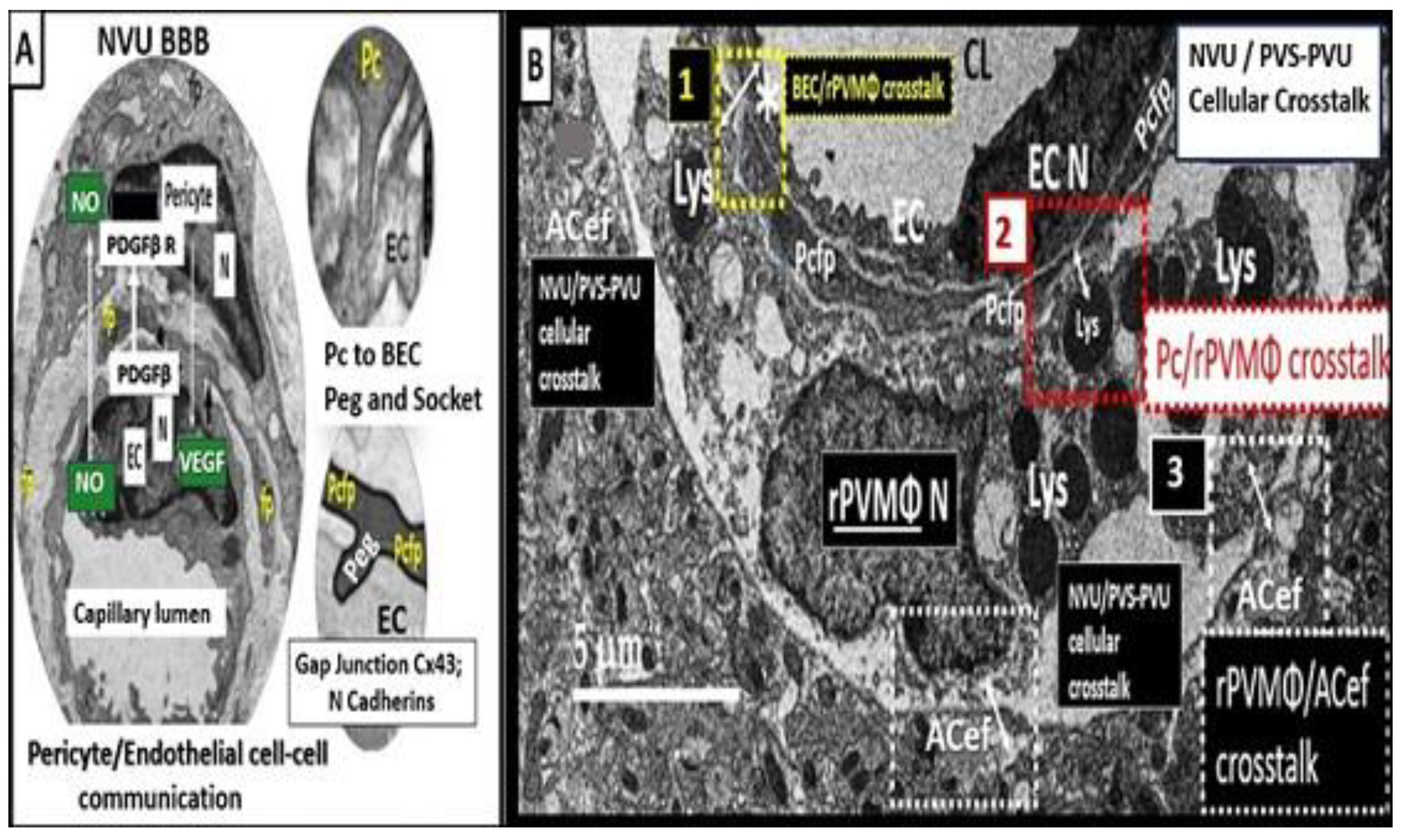 Preprints 183279 g012