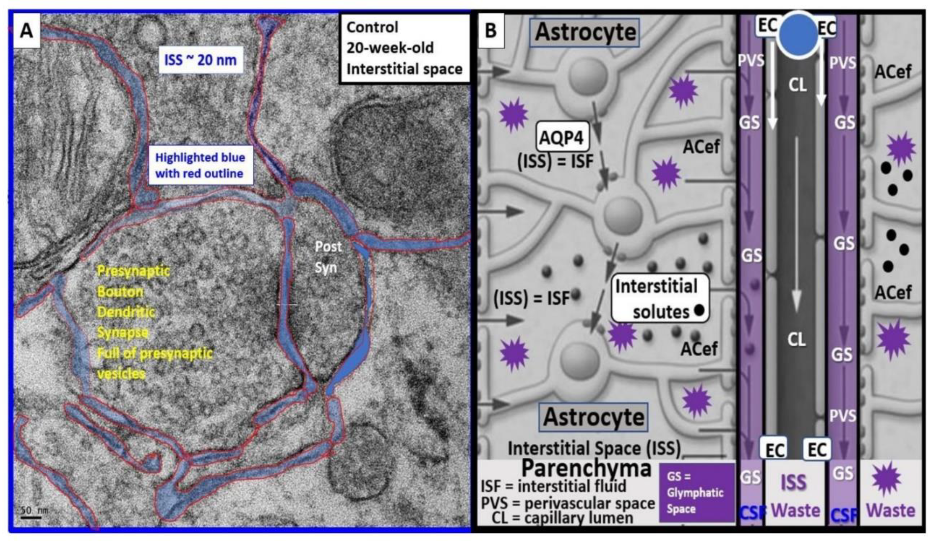 Preprints 183279 g013