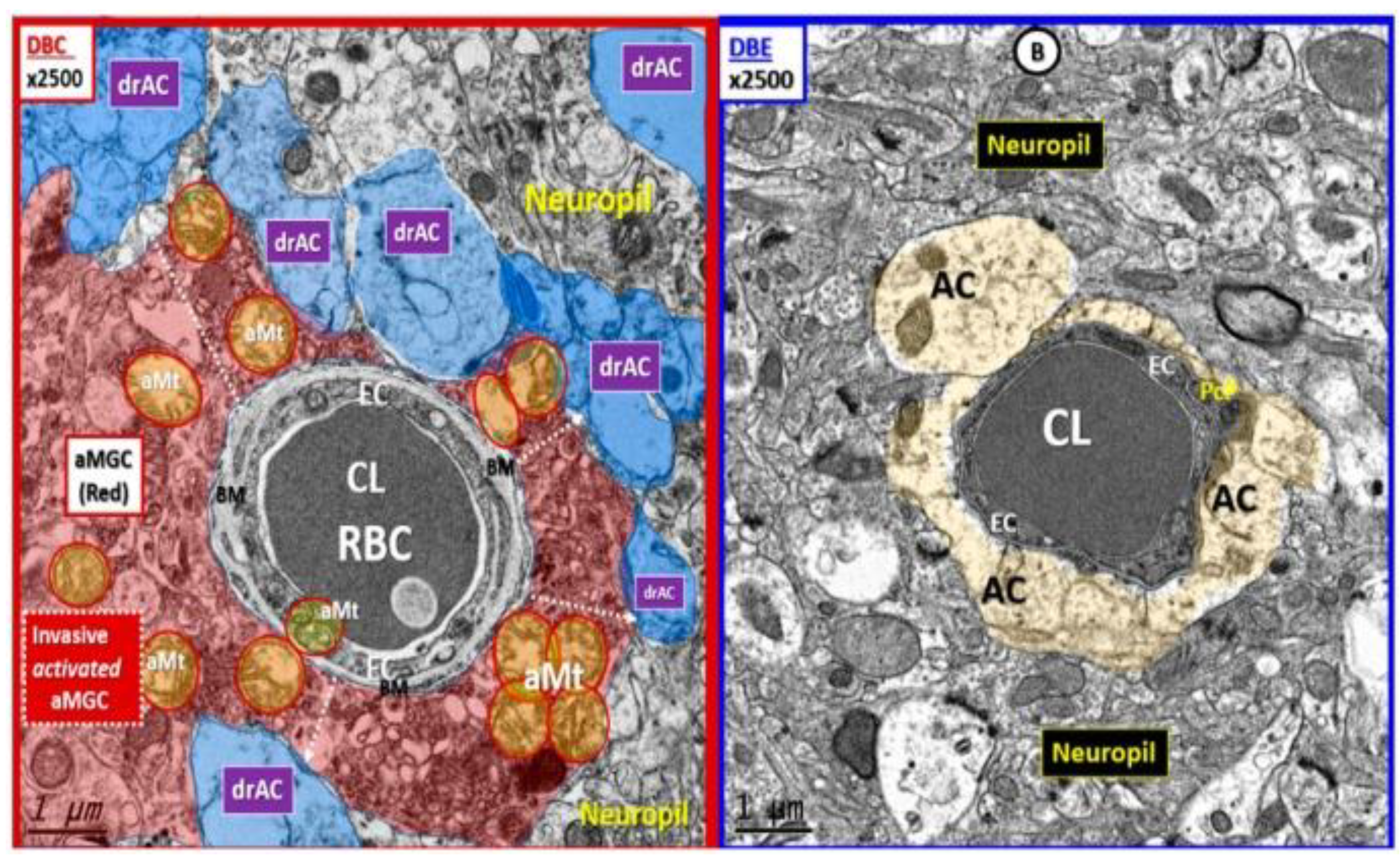 Preprints 183279 g014