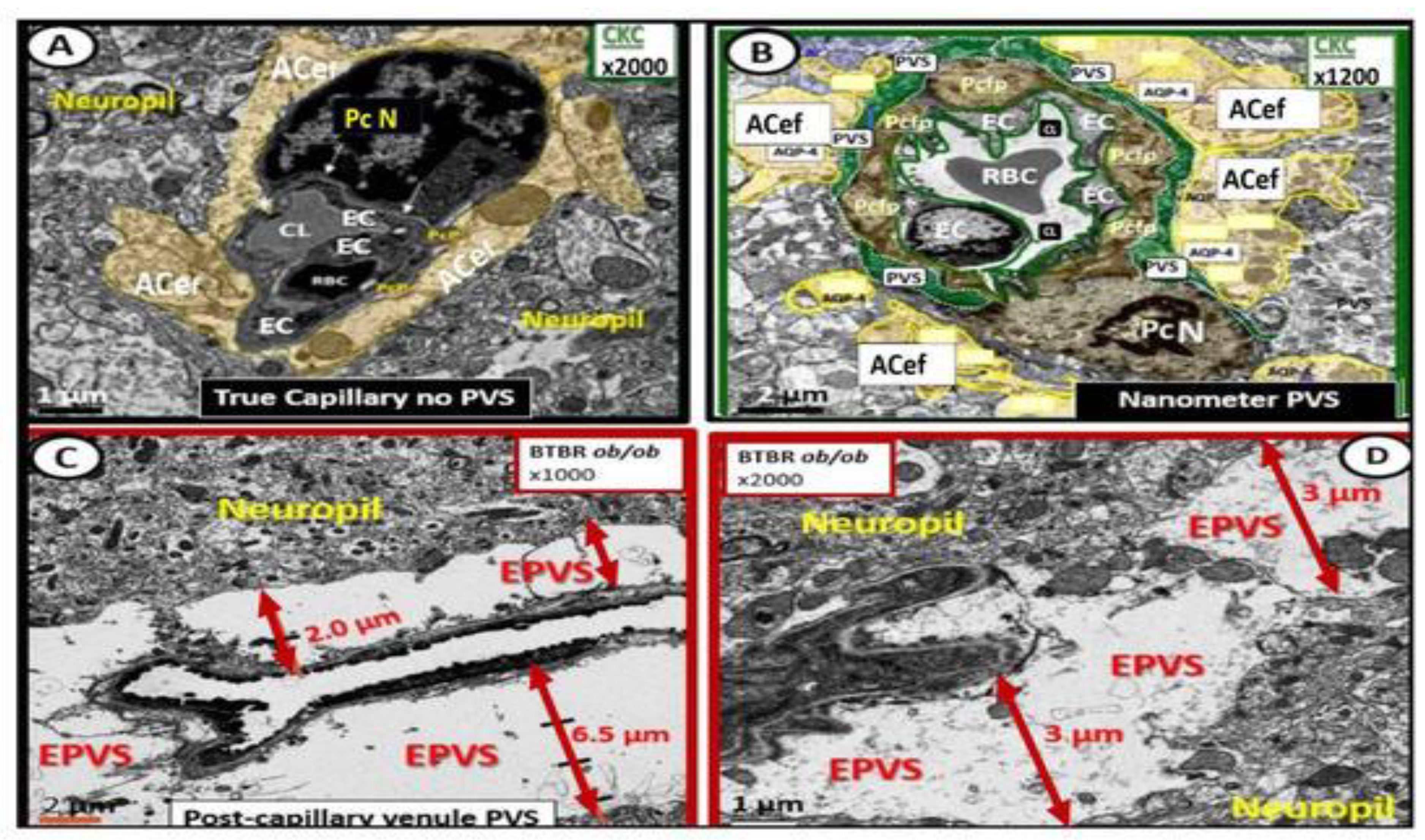 Preprints 183279 g015