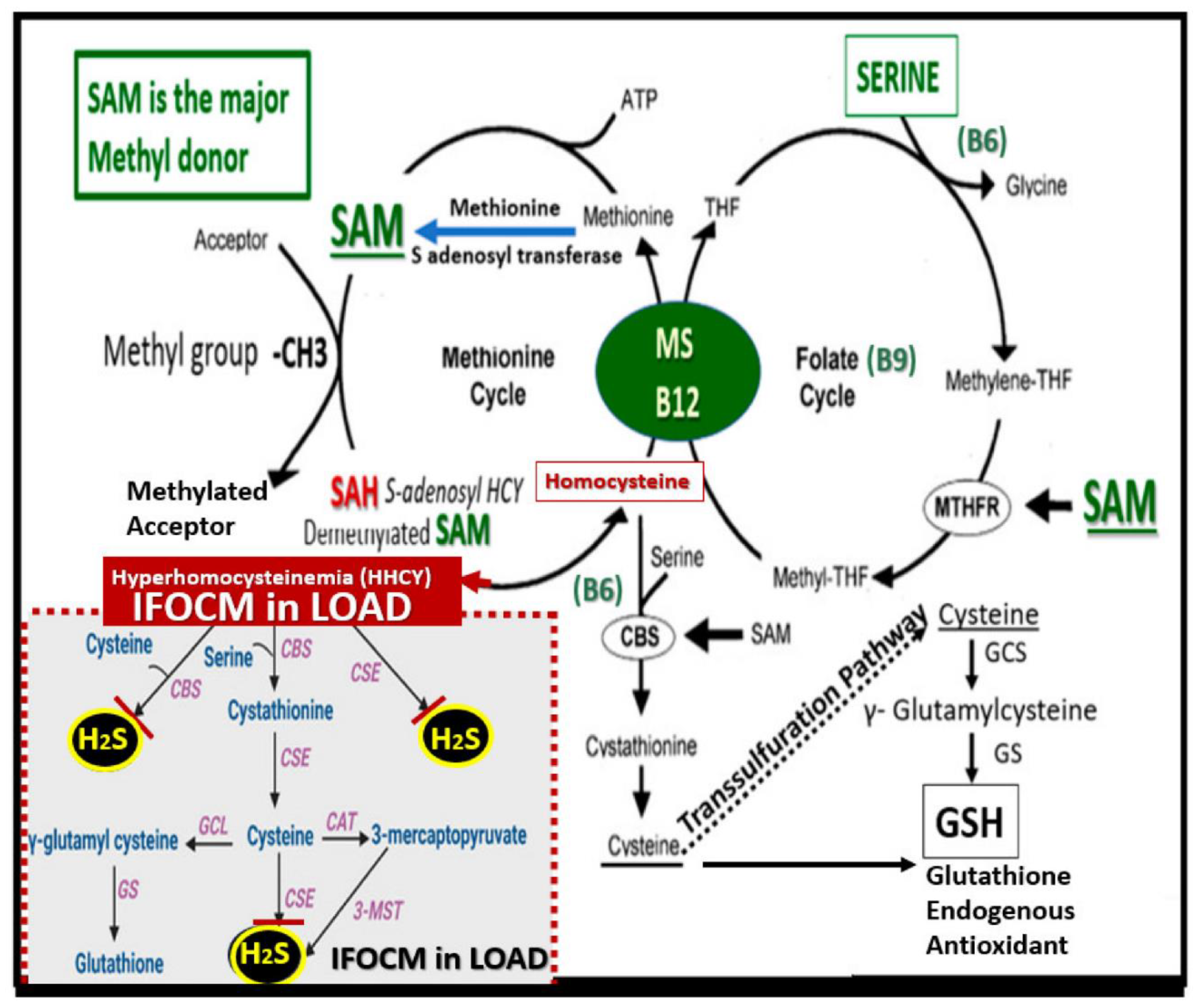 Preprints 183279 g016