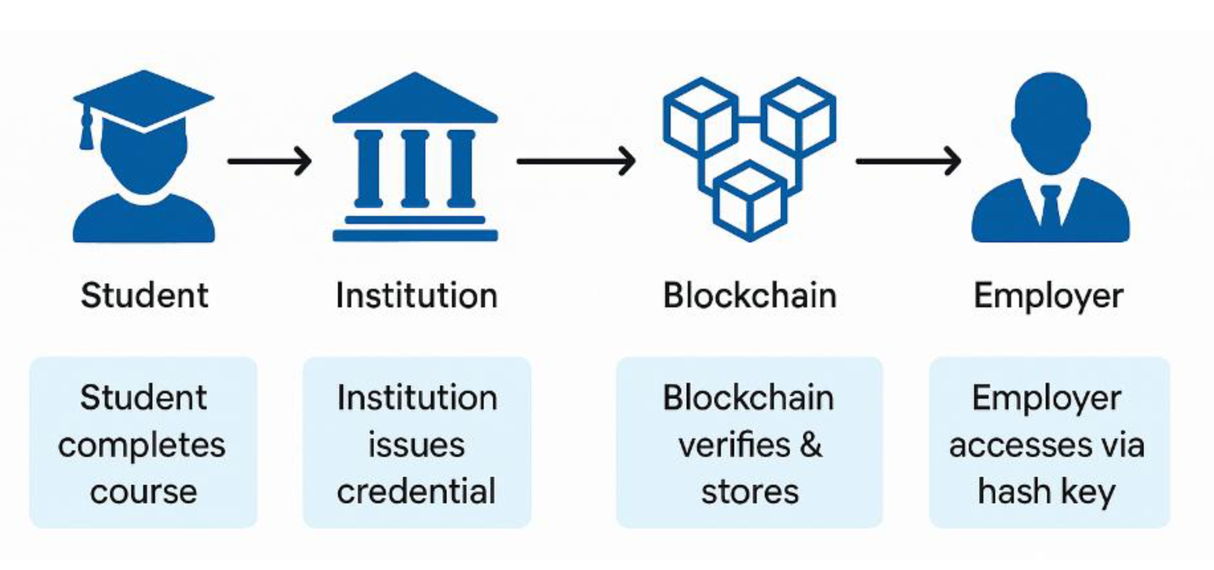 Preprints 196375 g006
