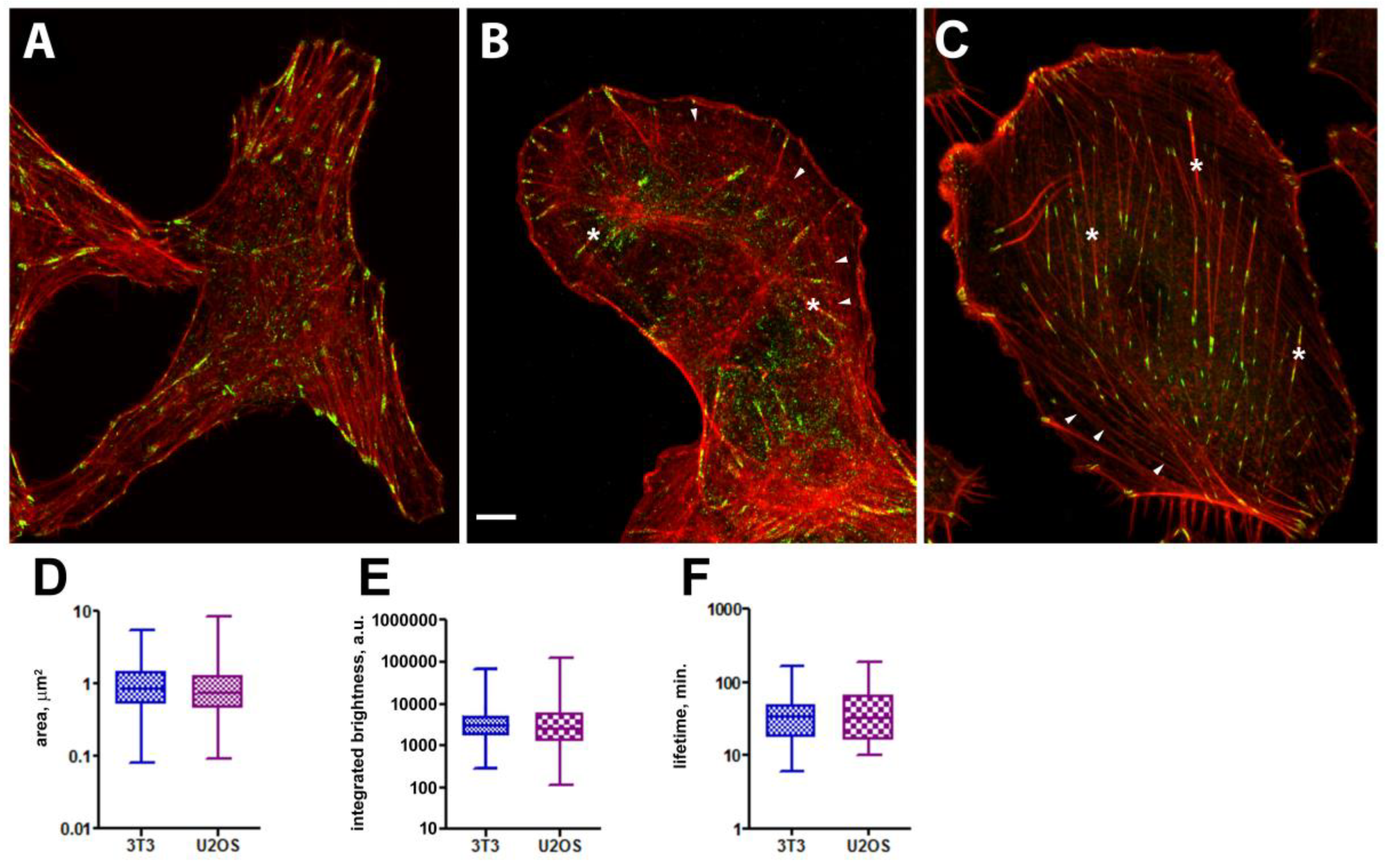 Preprints 144026 g001
