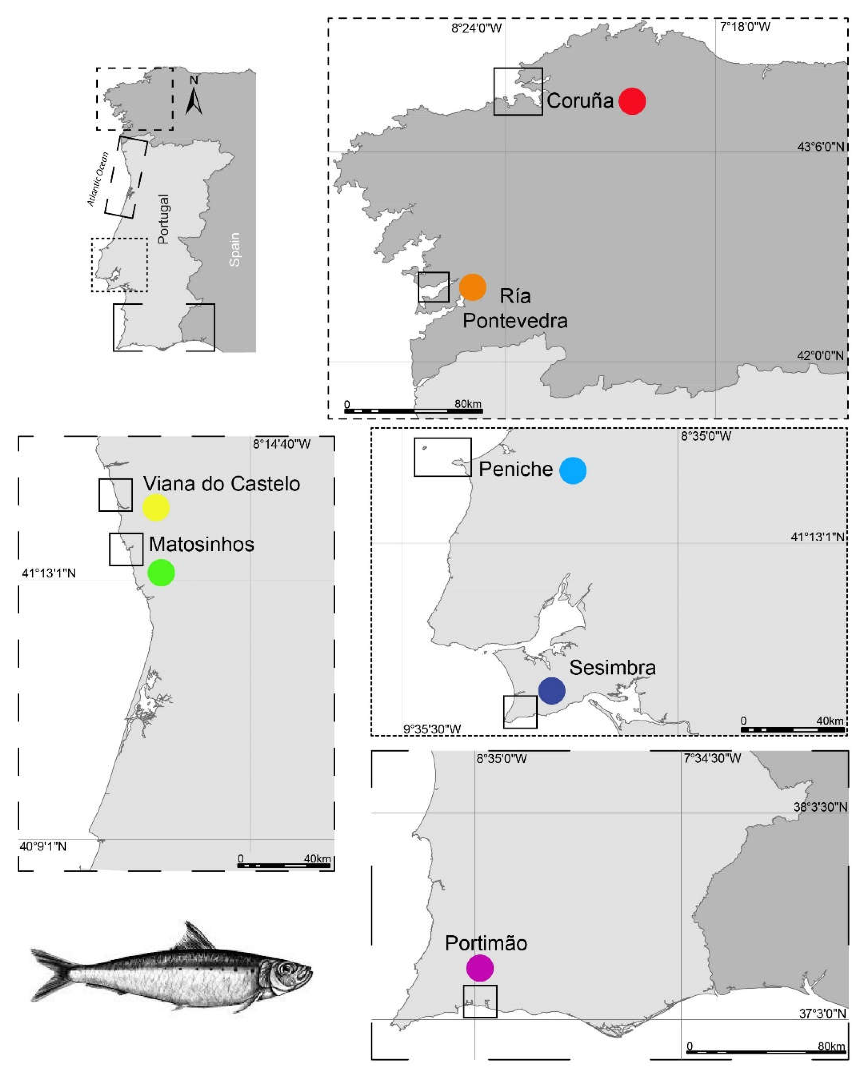 Preprints 139629 g001