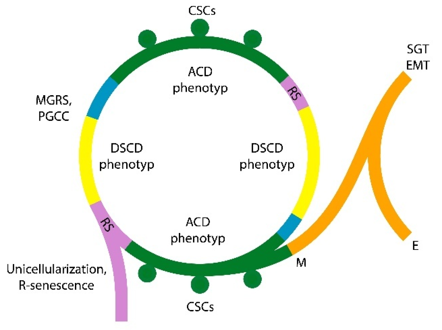 Preprints 159854 g002