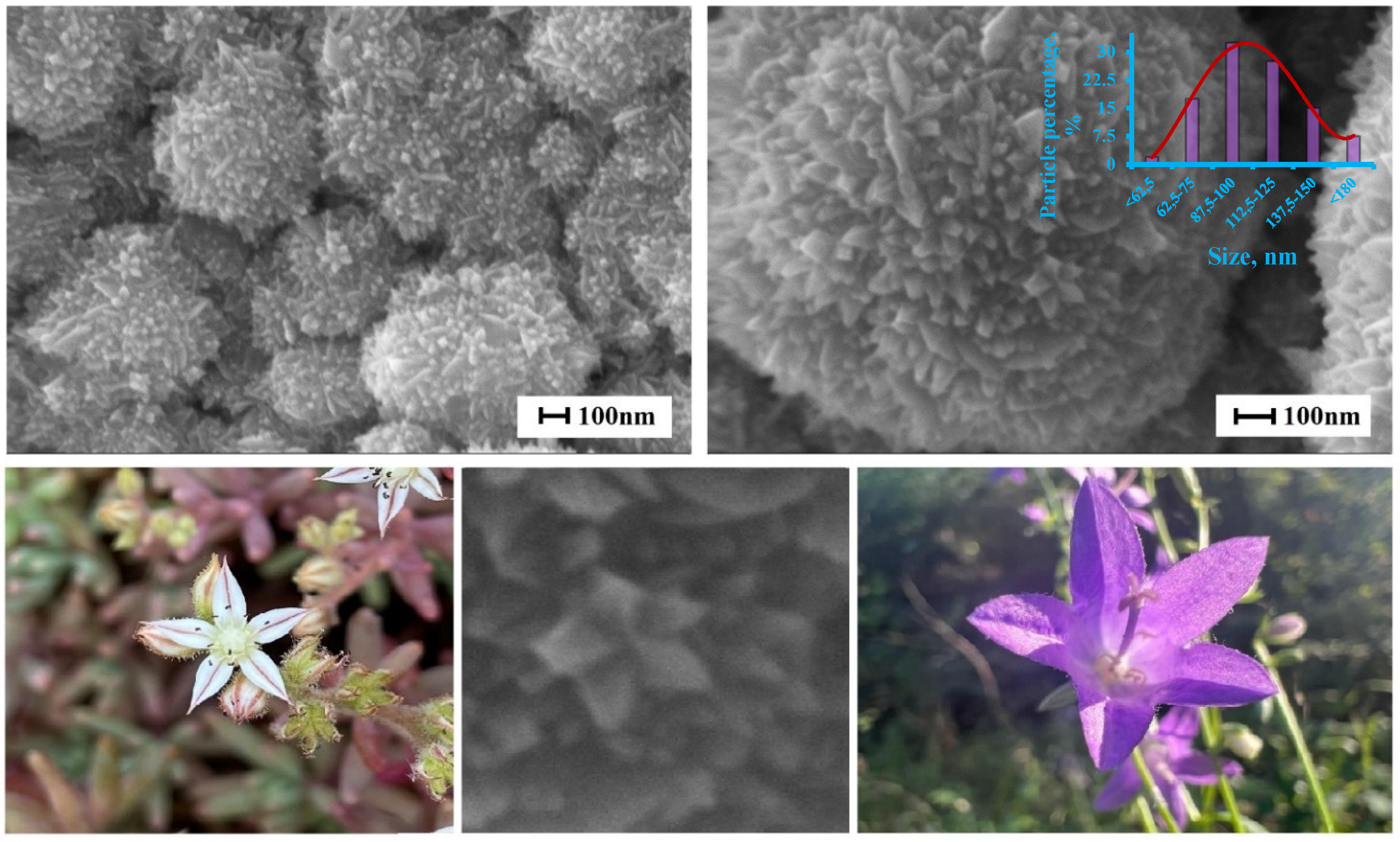 Preprints 90959 g002