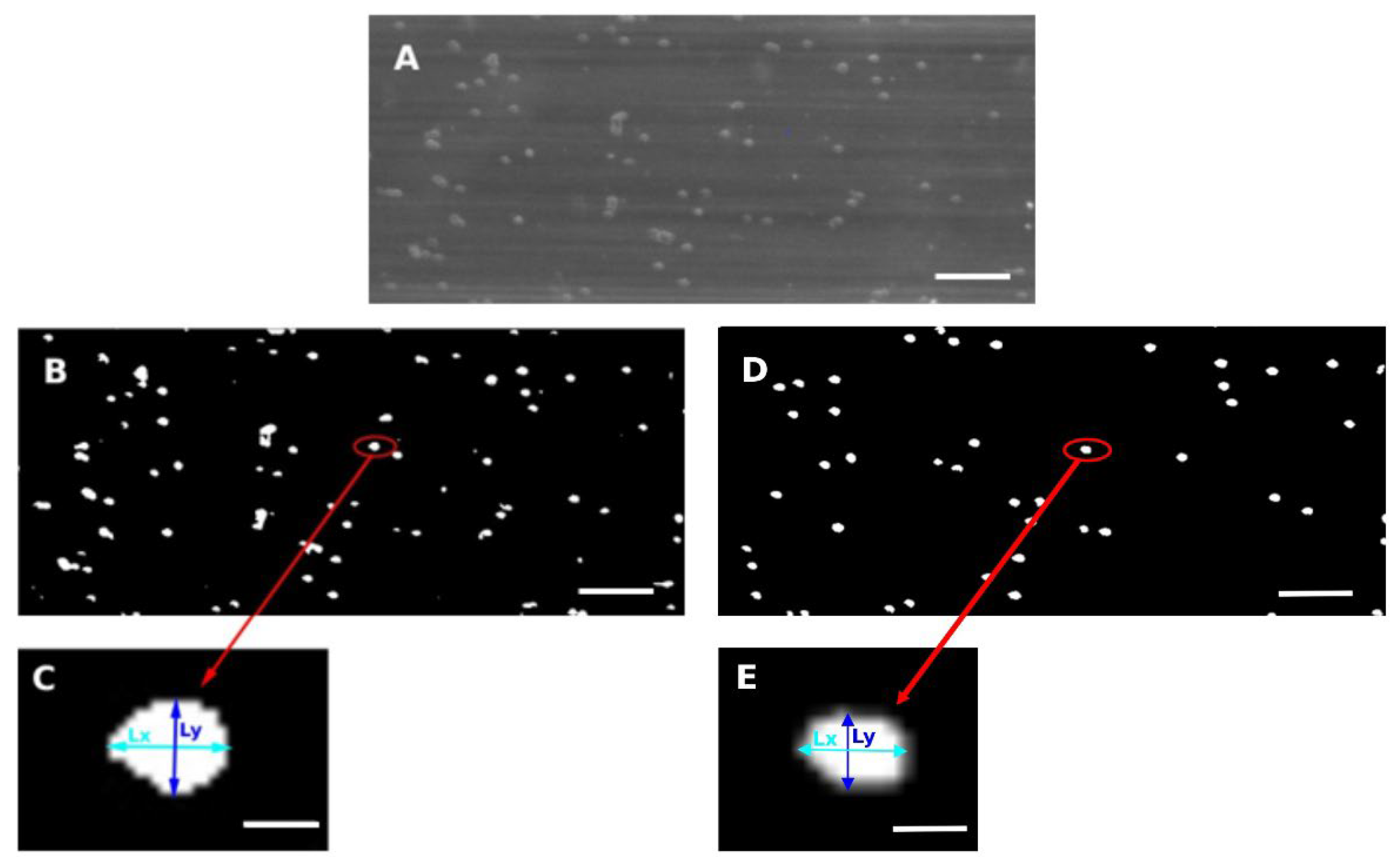 Preprints 199221 g002