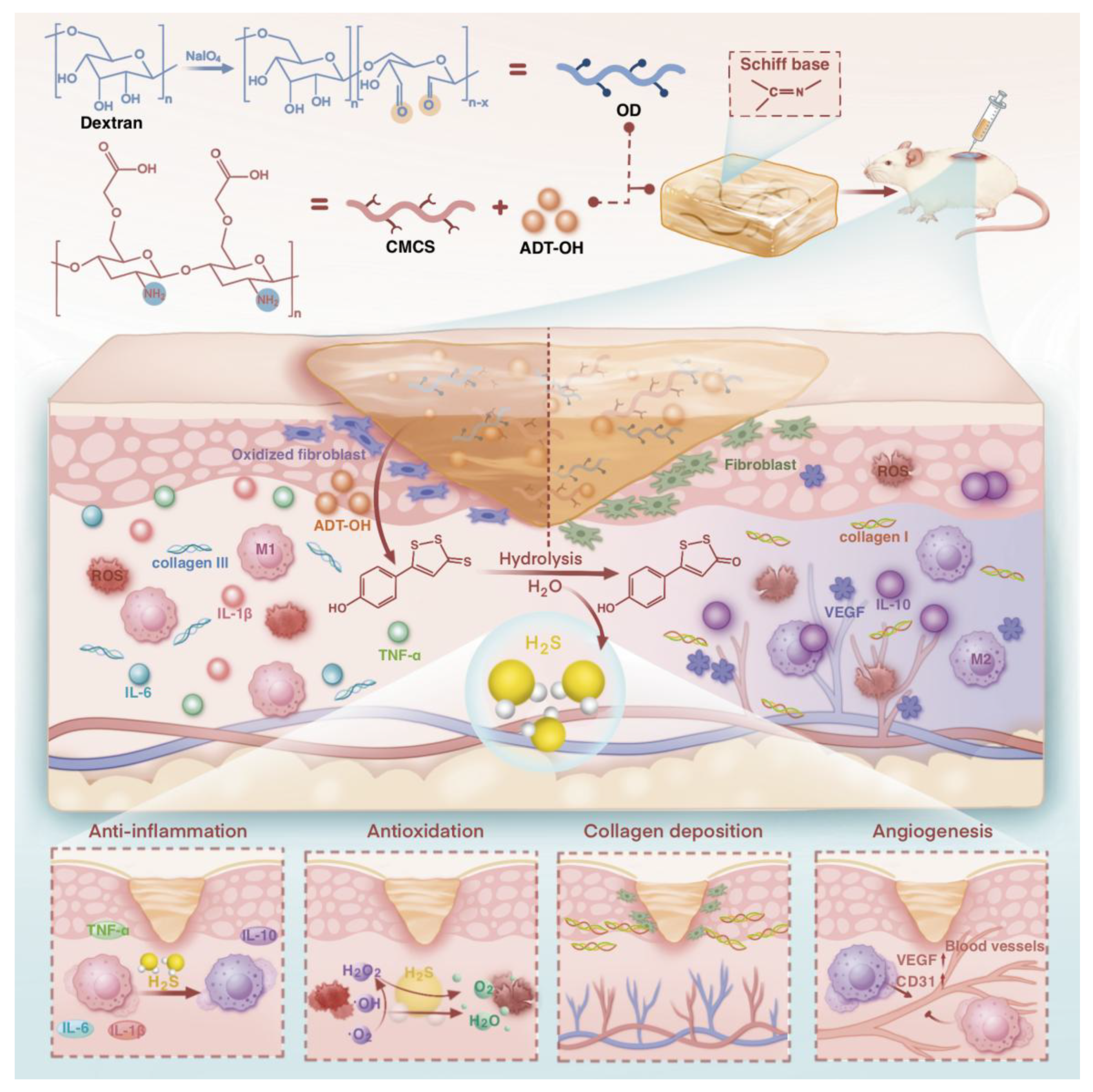 Preprints 199573 g001