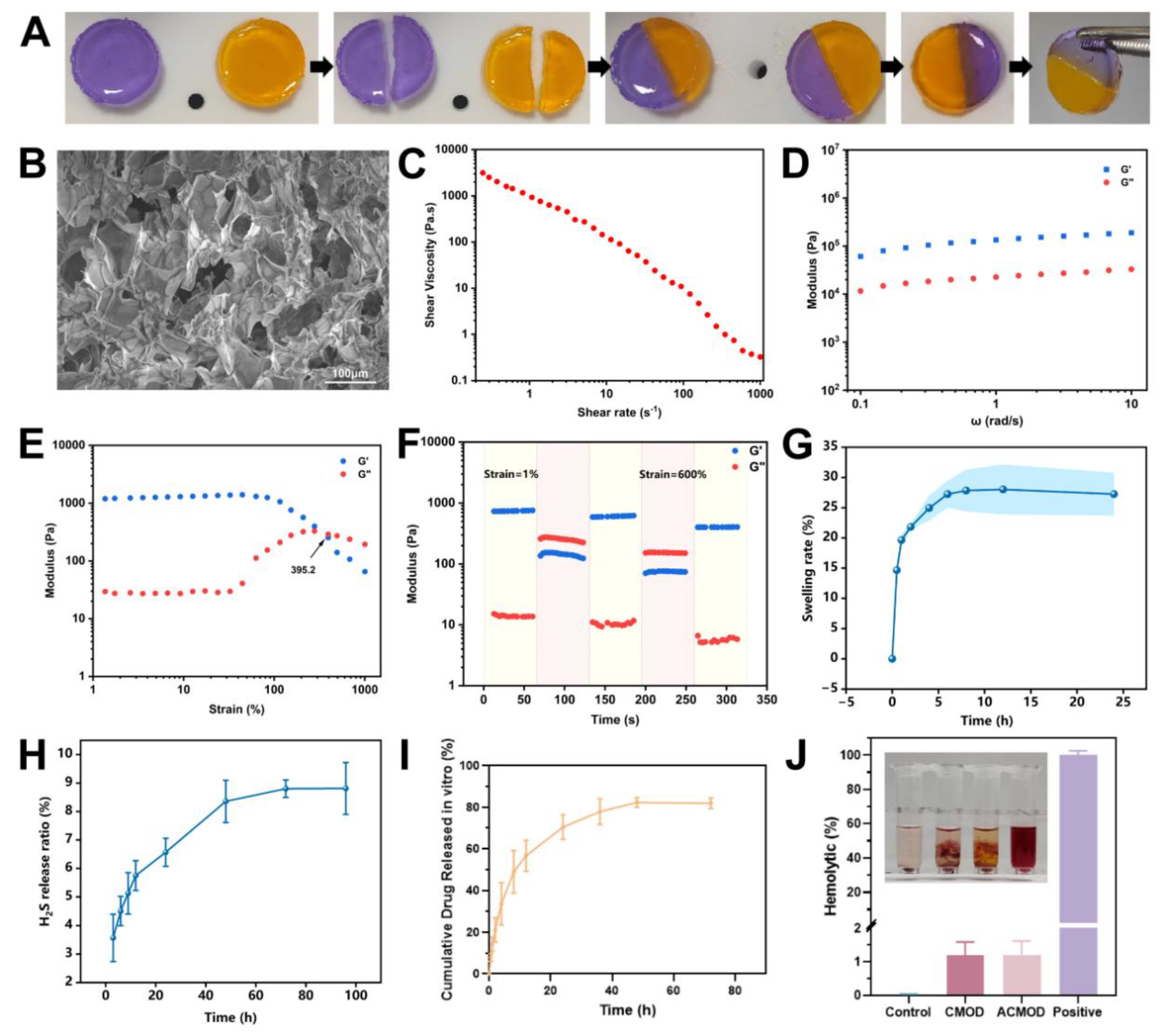 Preprints 199573 g003