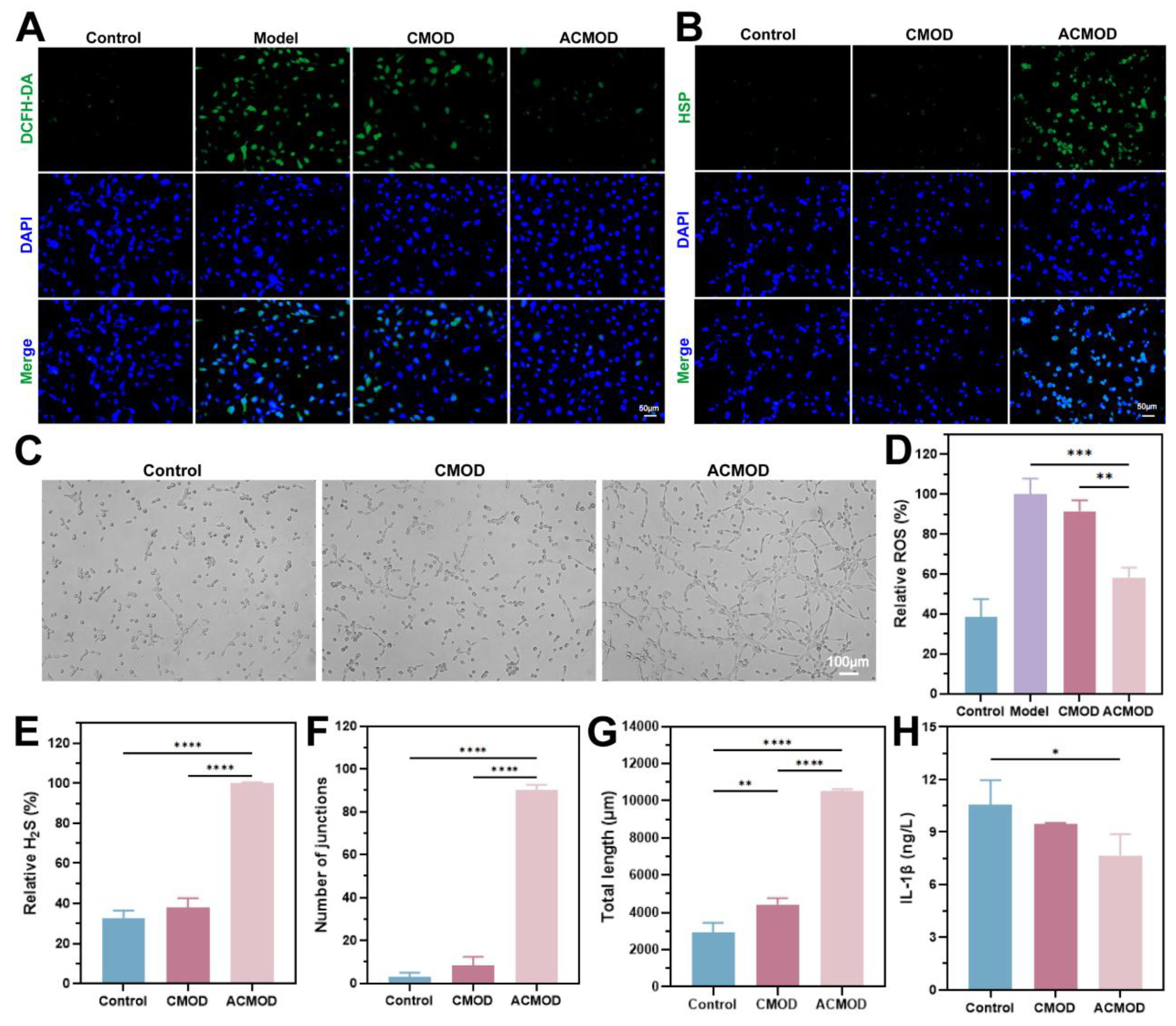 Preprints 199573 g005