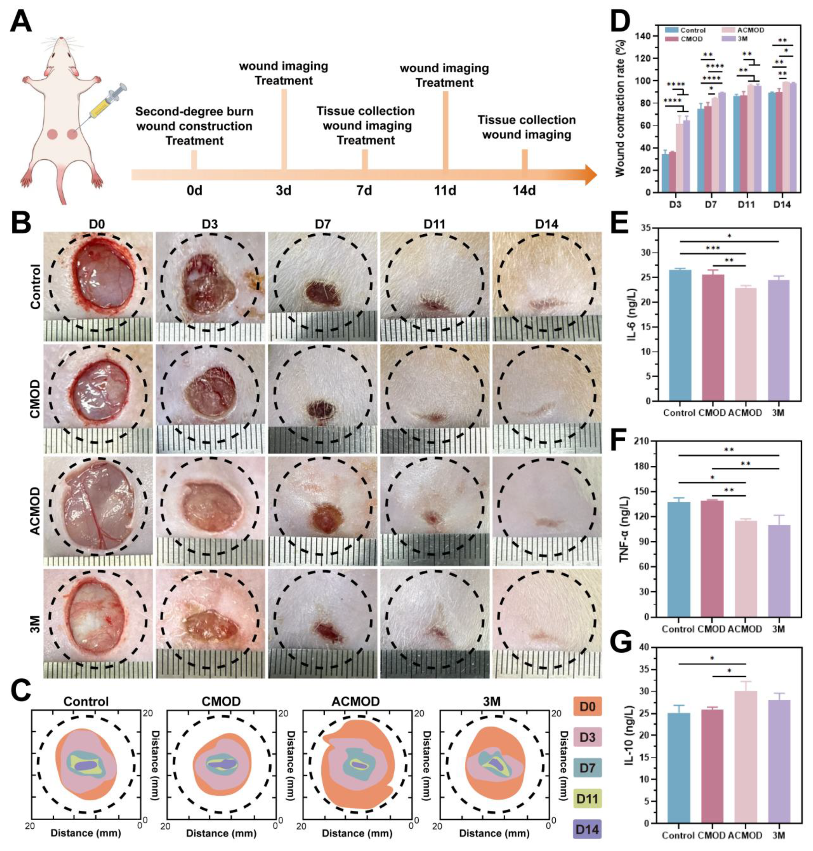 Preprints 199573 g006