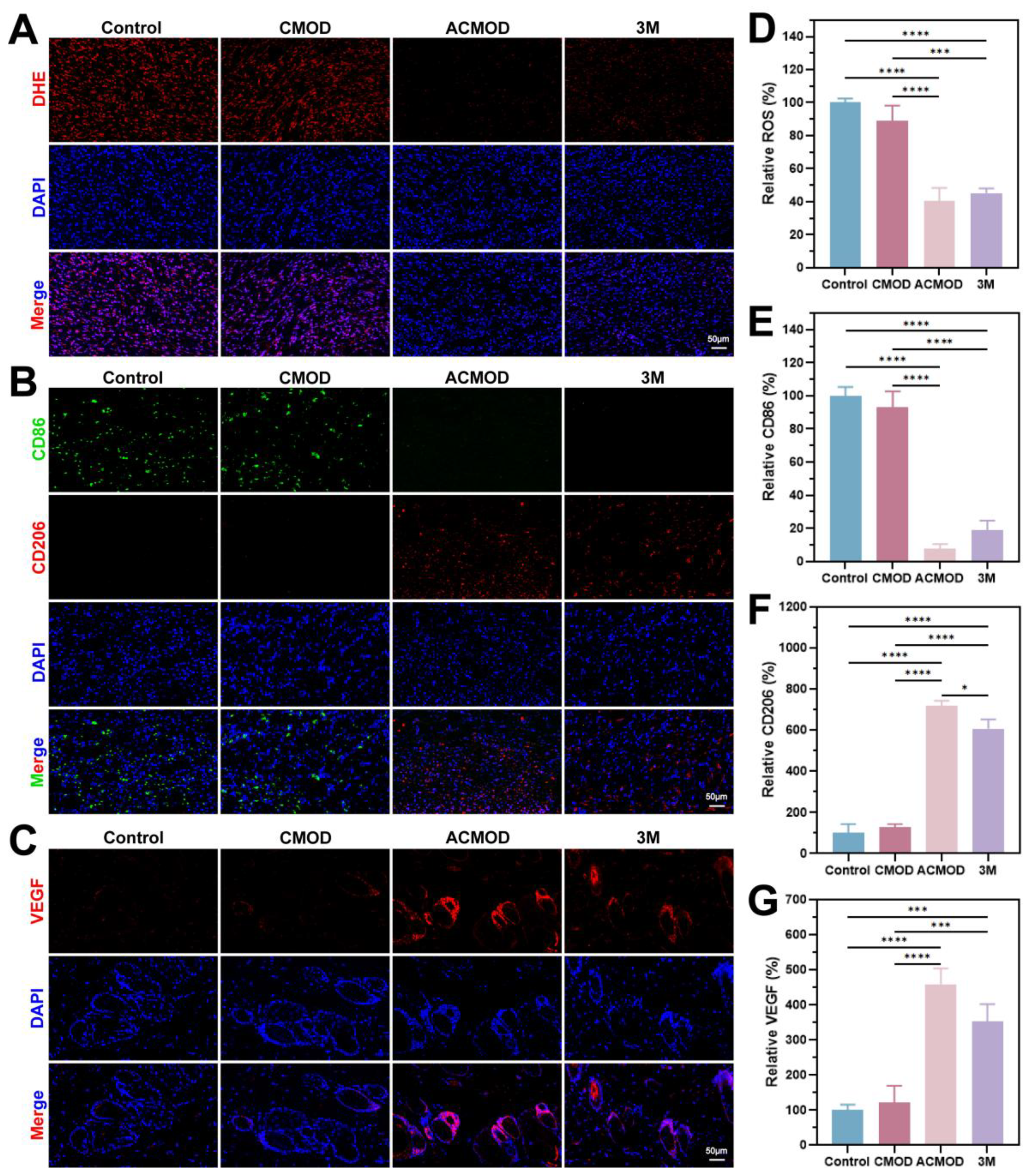 Preprints 199573 g007