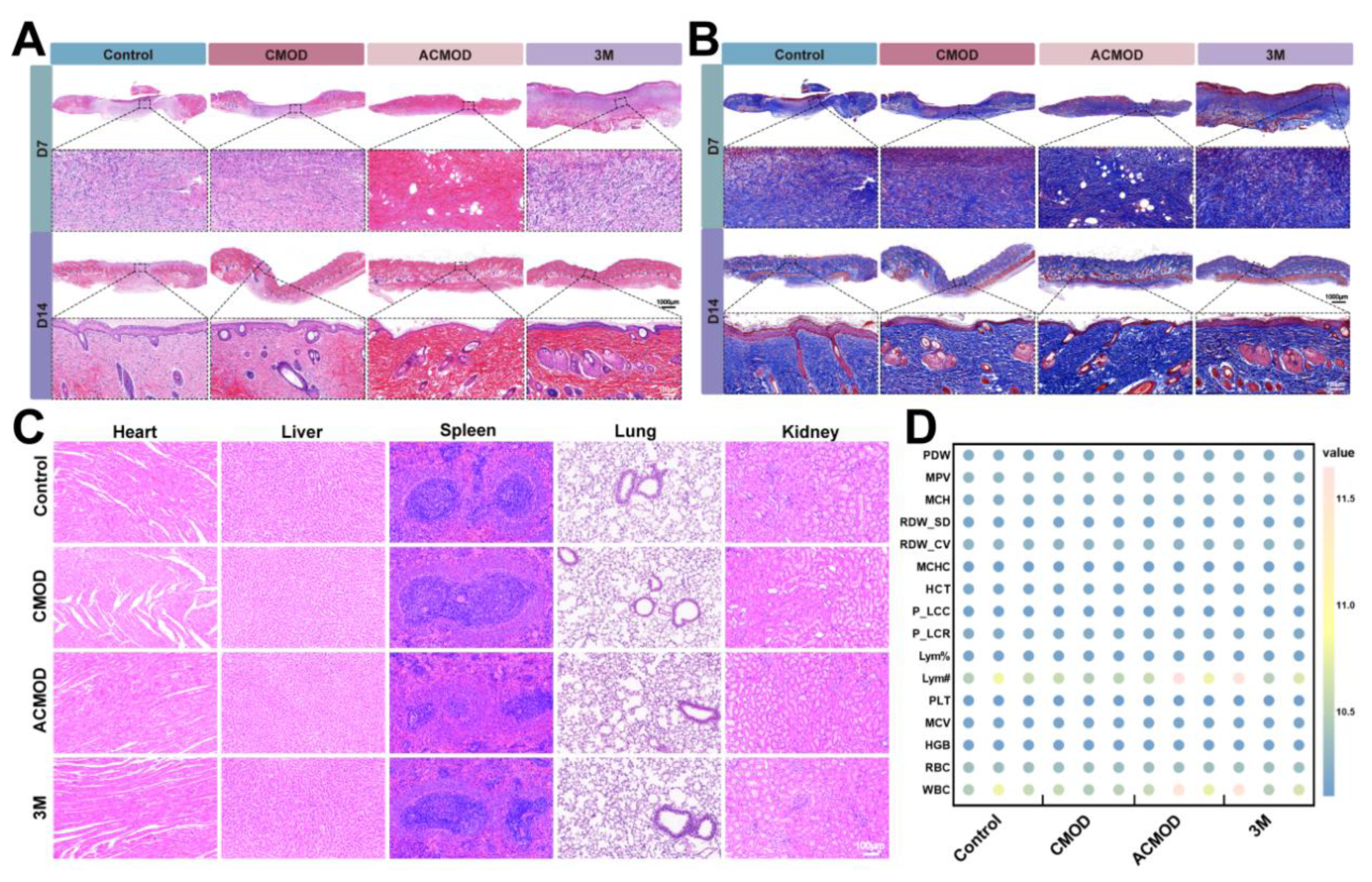 Preprints 199573 g008