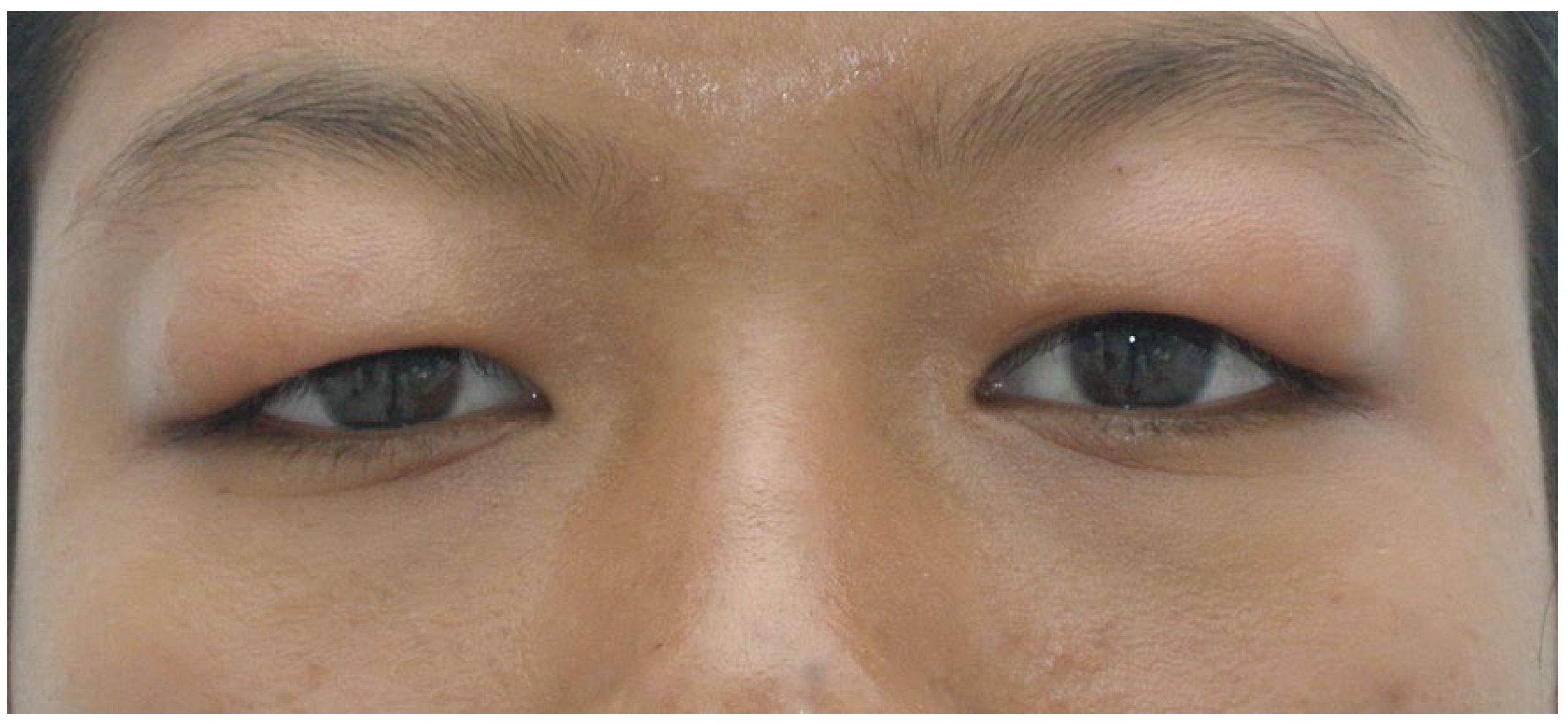 Preprints 68624 g001