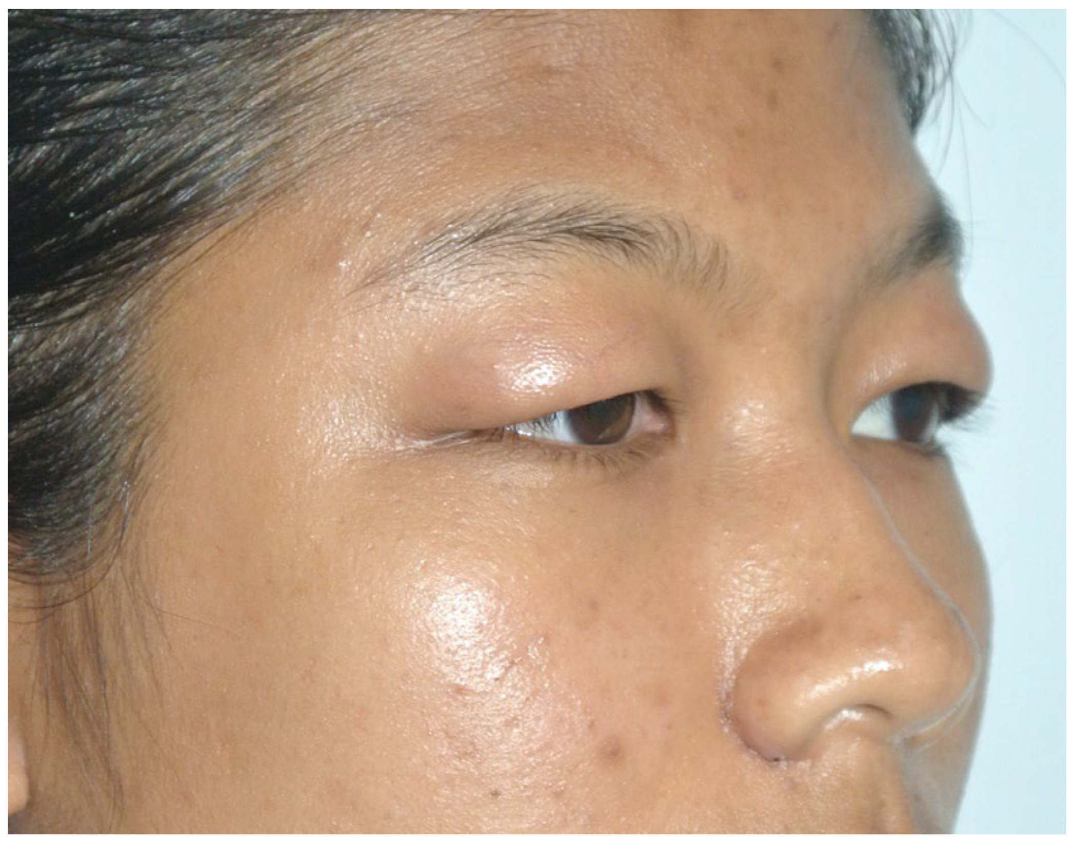 Preprints 68624 g002