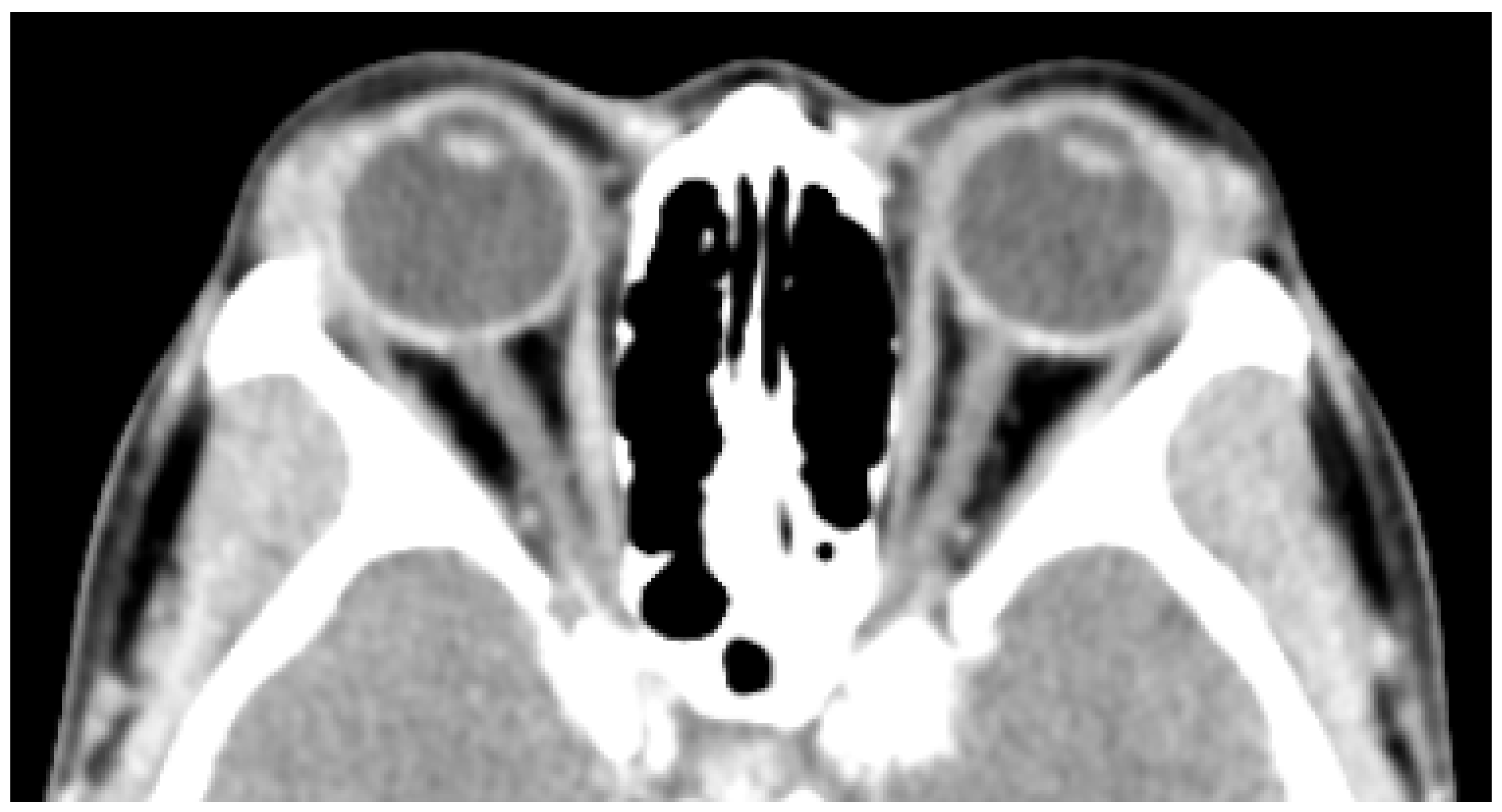Preprints 68624 g003