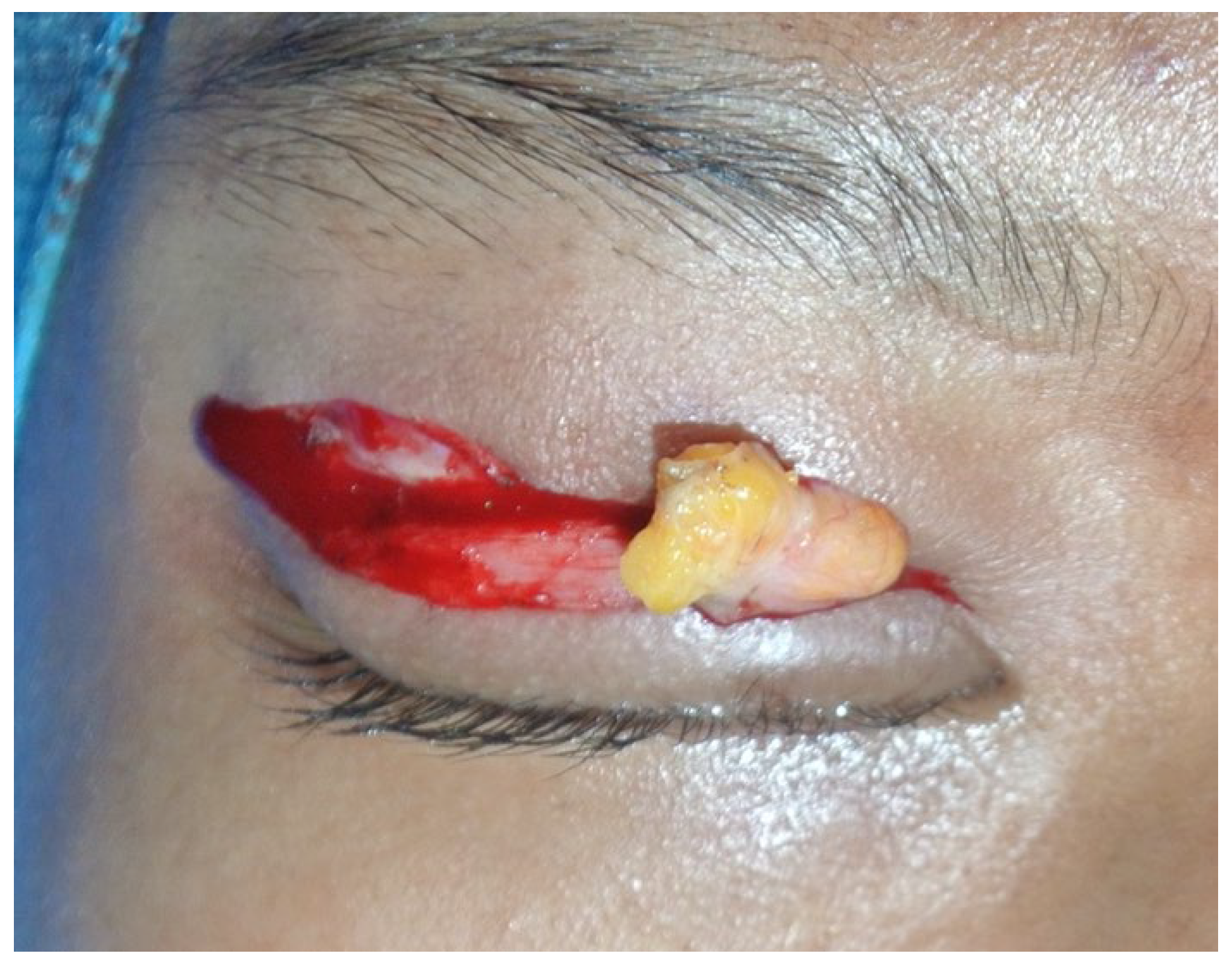 Preprints 68624 g004