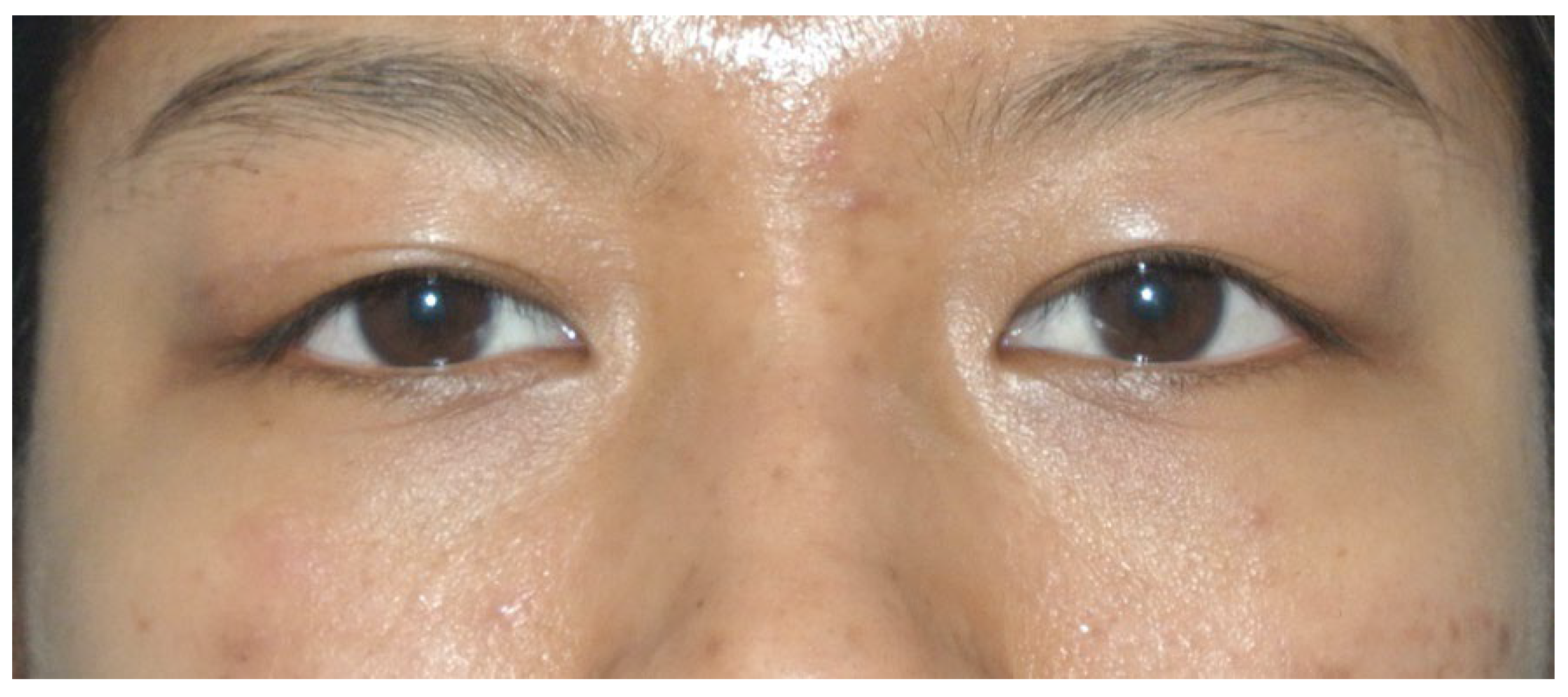 Preprints 68624 g006