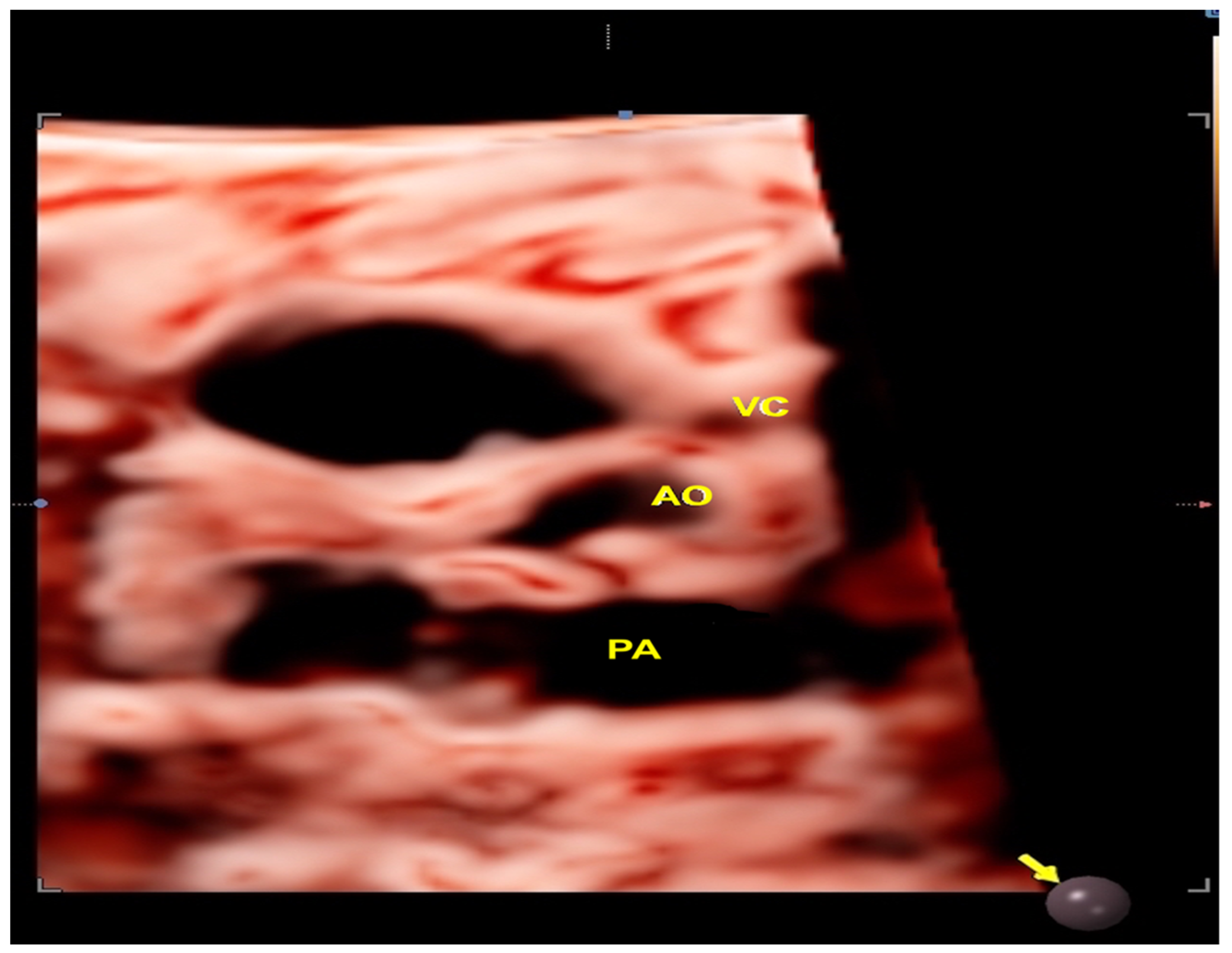 Preprints 138374 g006