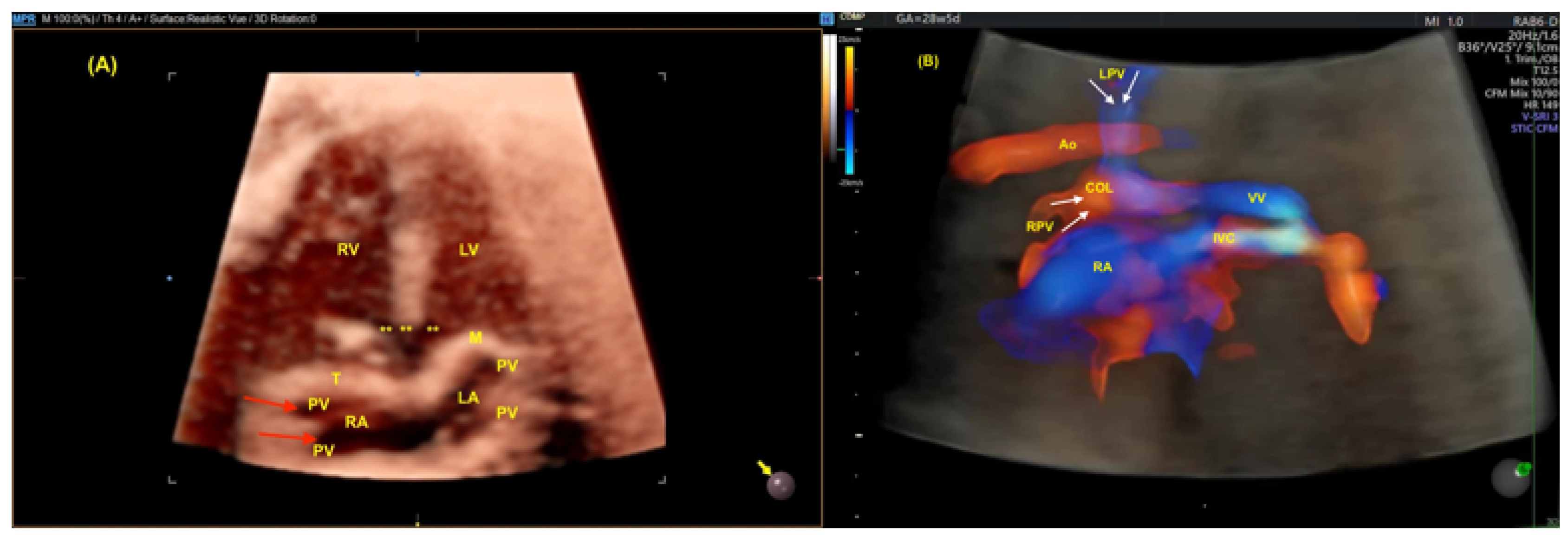 Preprints 138374 g007