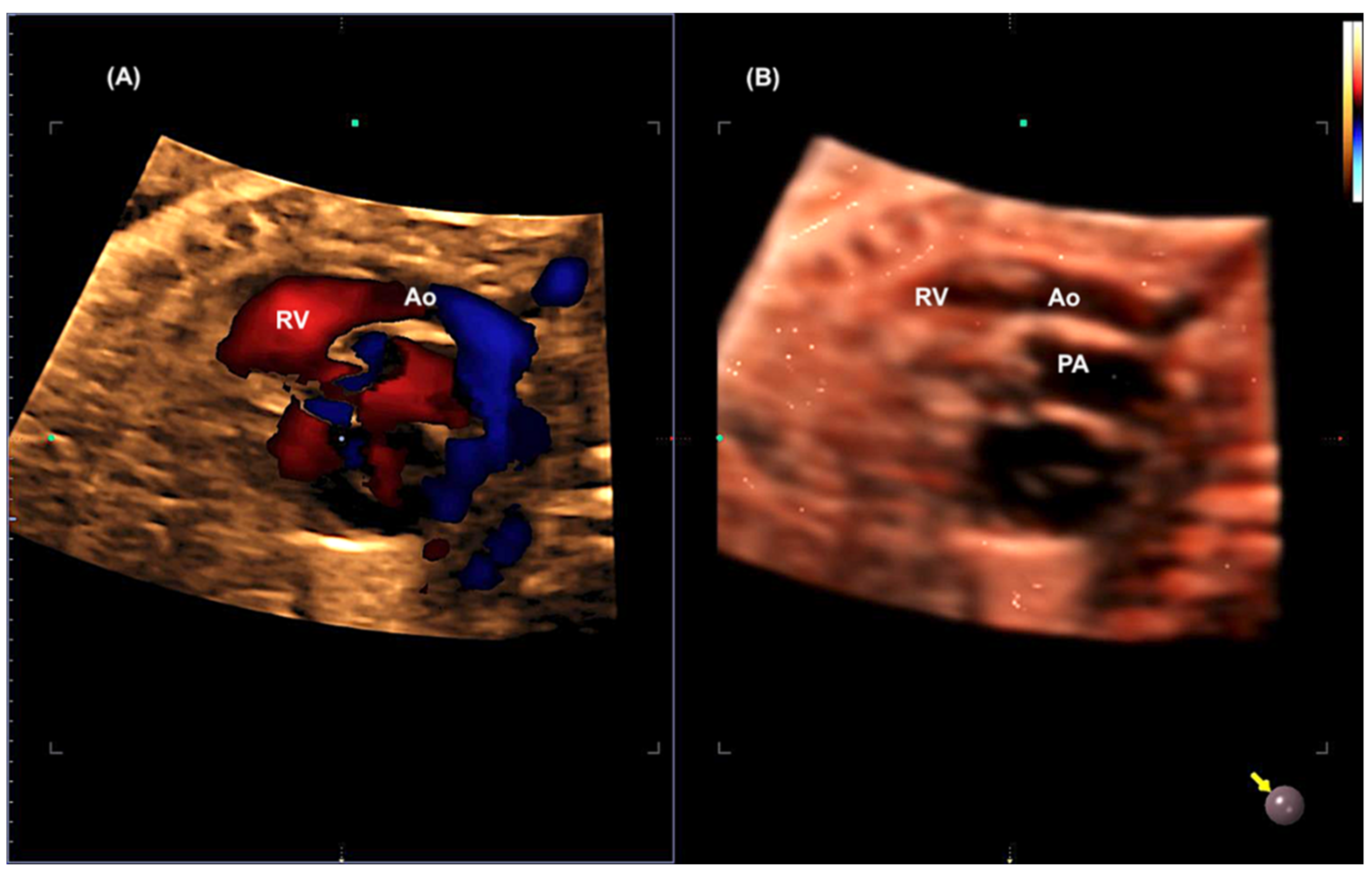 Preprints 138374 g012
