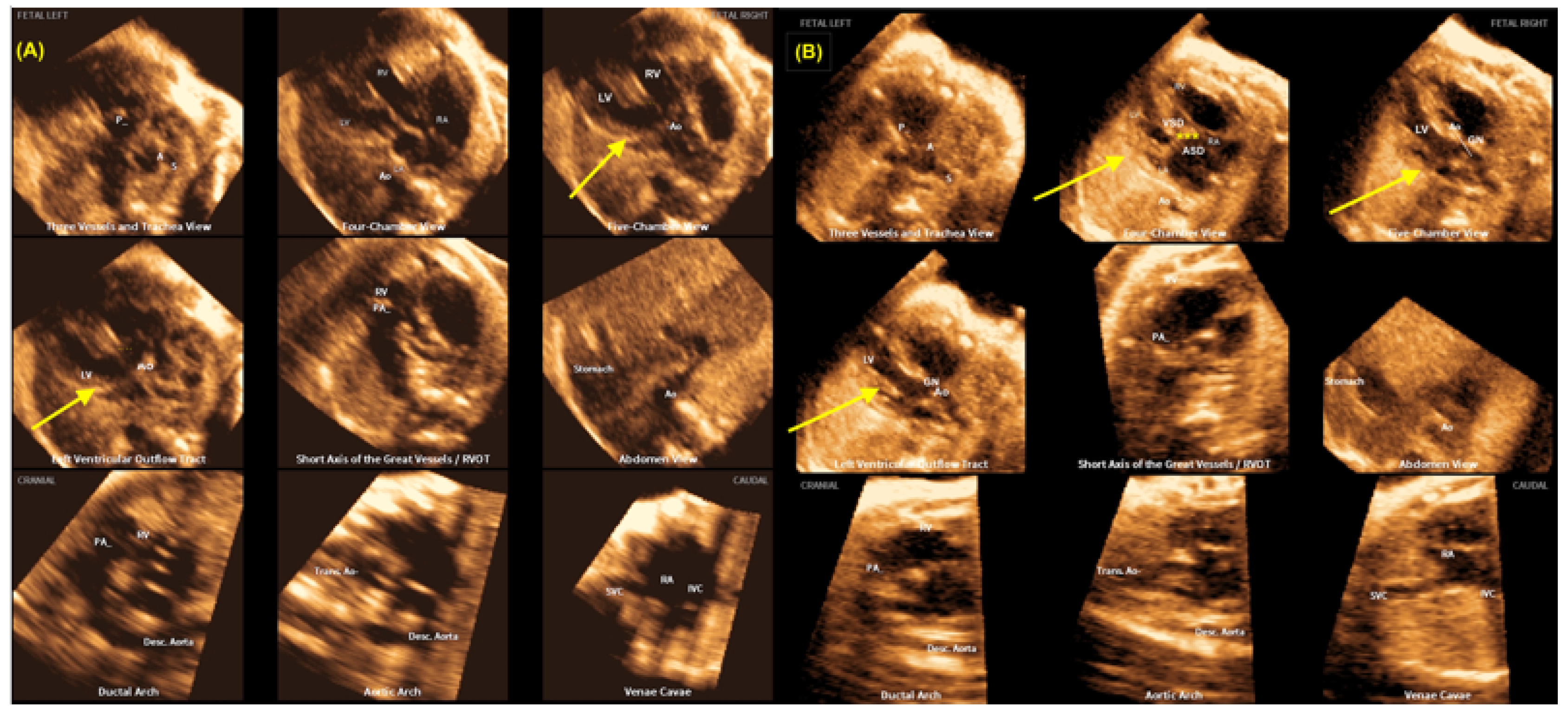 Preprints 138374 g019