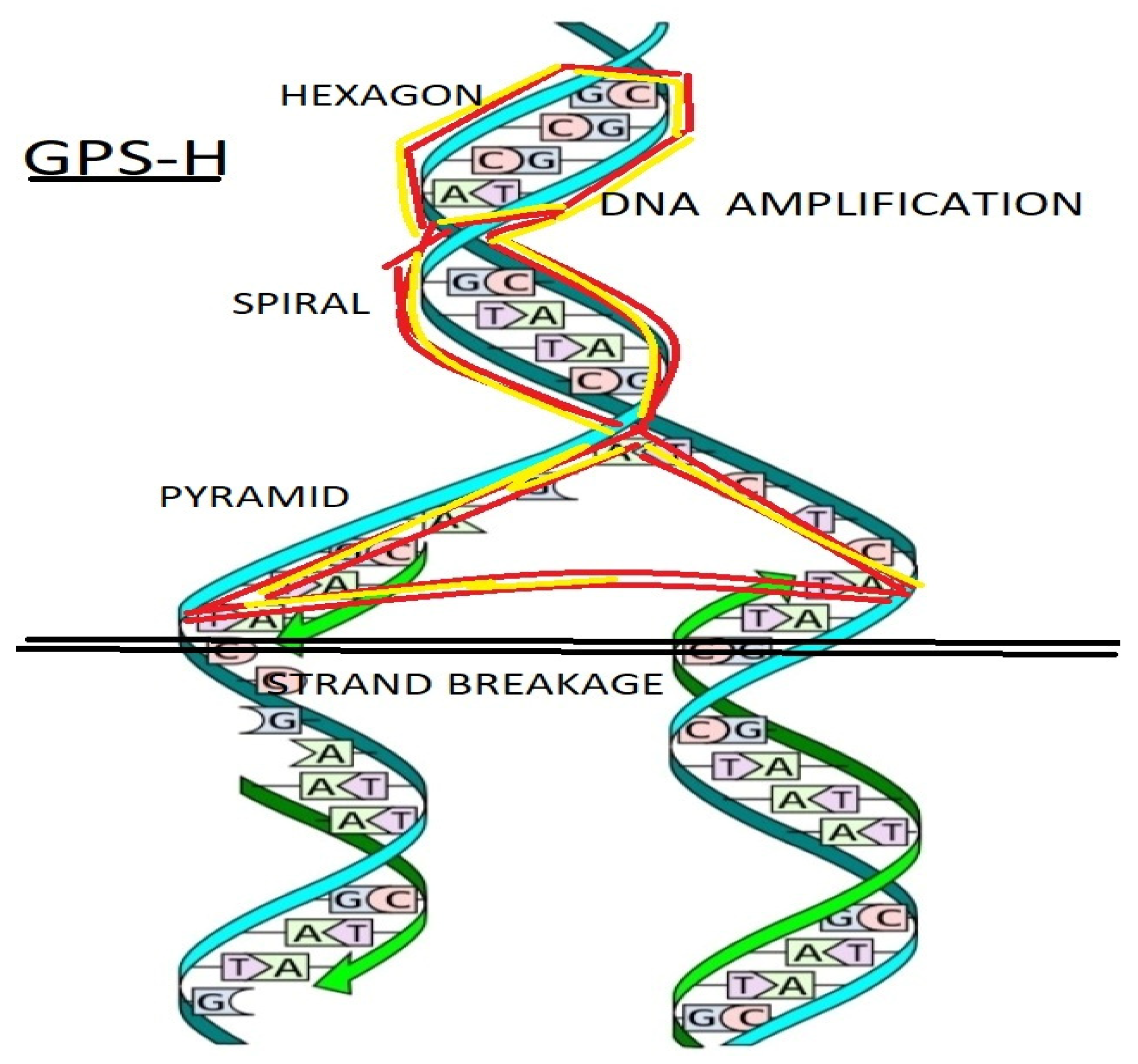 Preprints 117092 g001