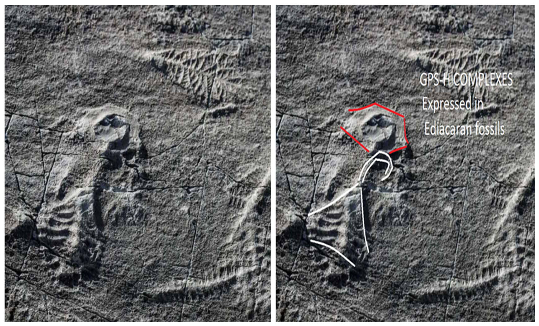 Preprints 117092 g003