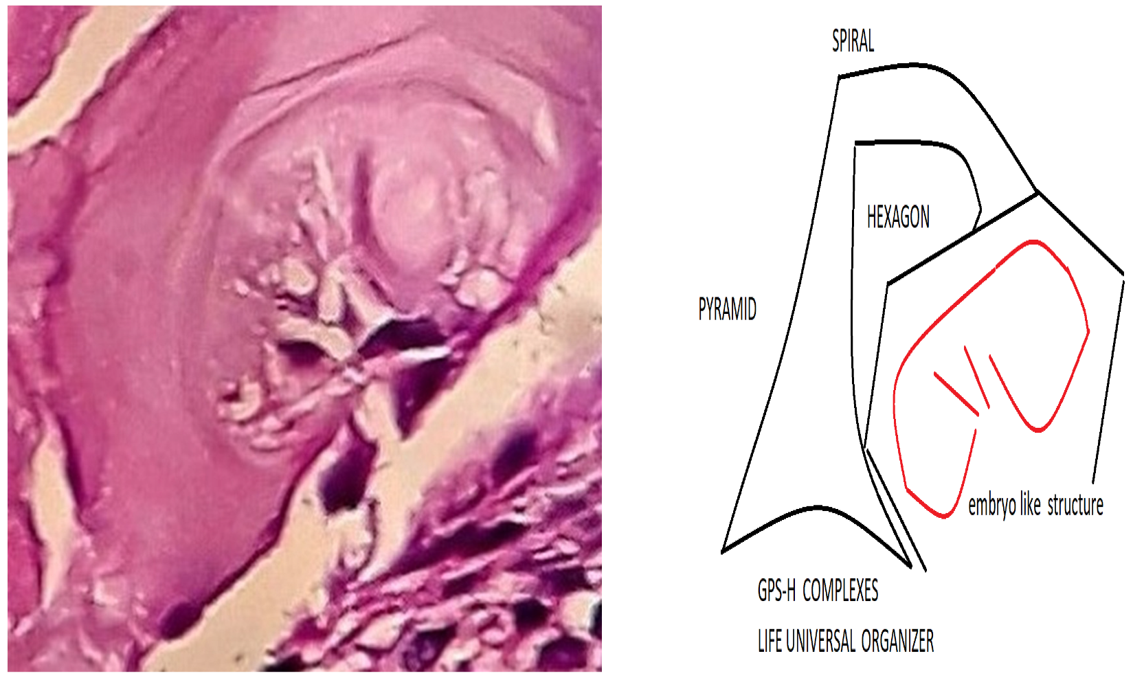 Preprints 117092 g006
