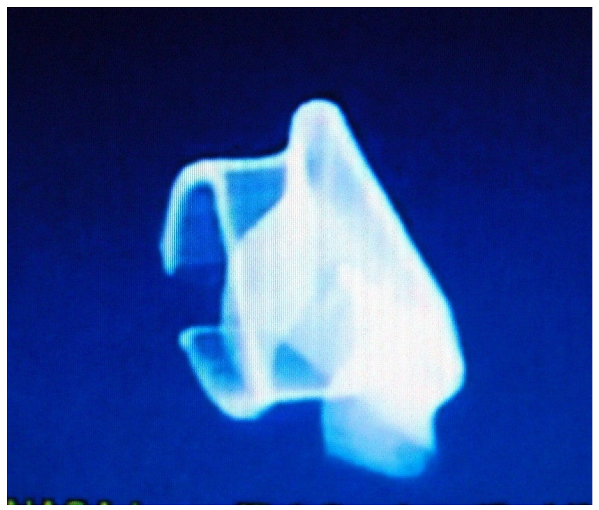 Preprints 117092 g007