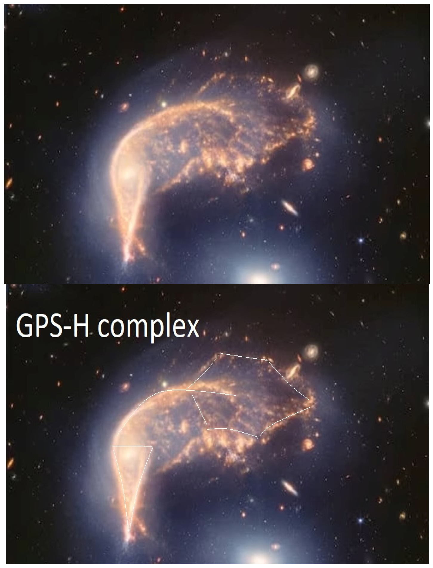 Preprints 117092 g008