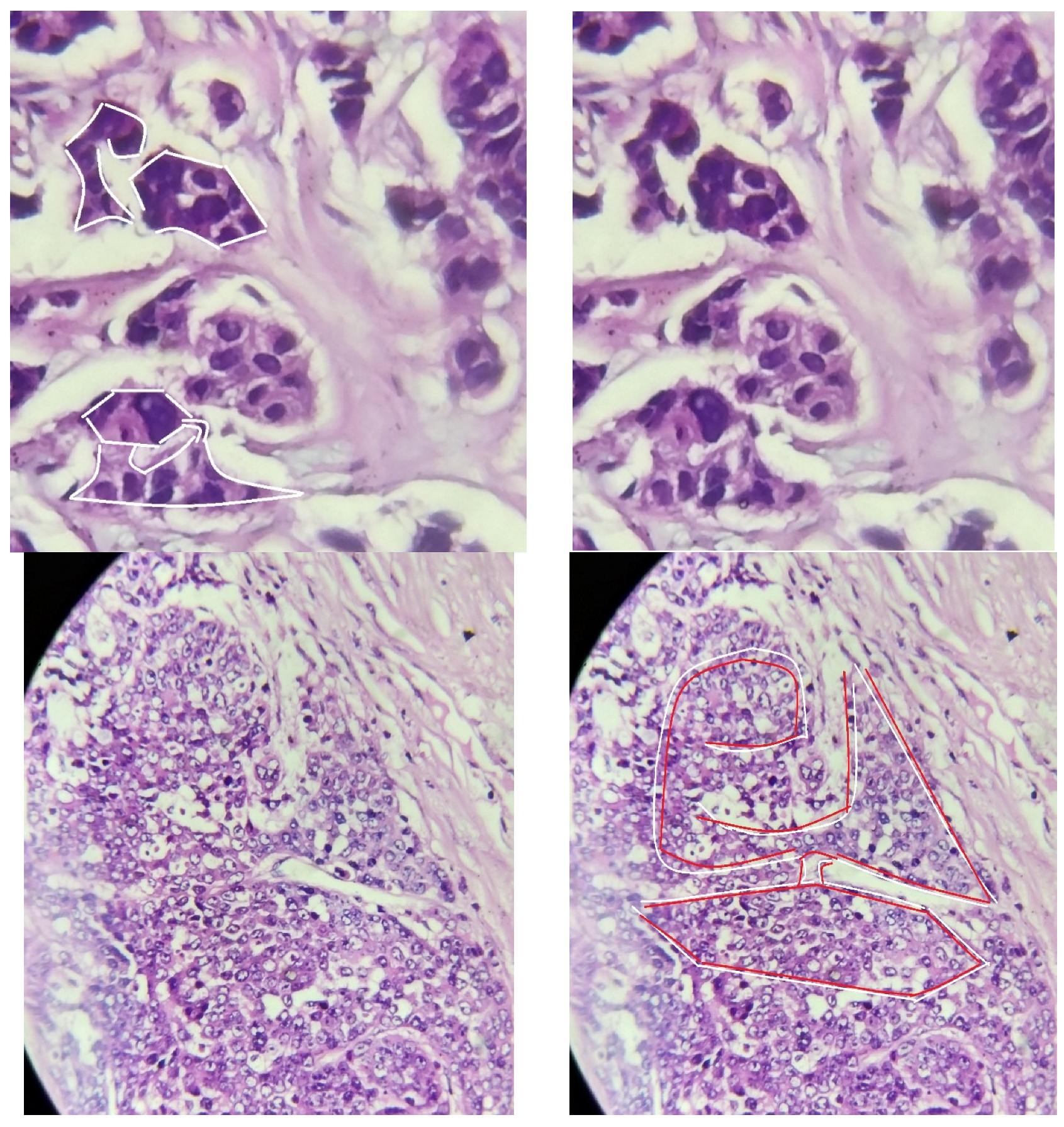 Preprints 117092 g009