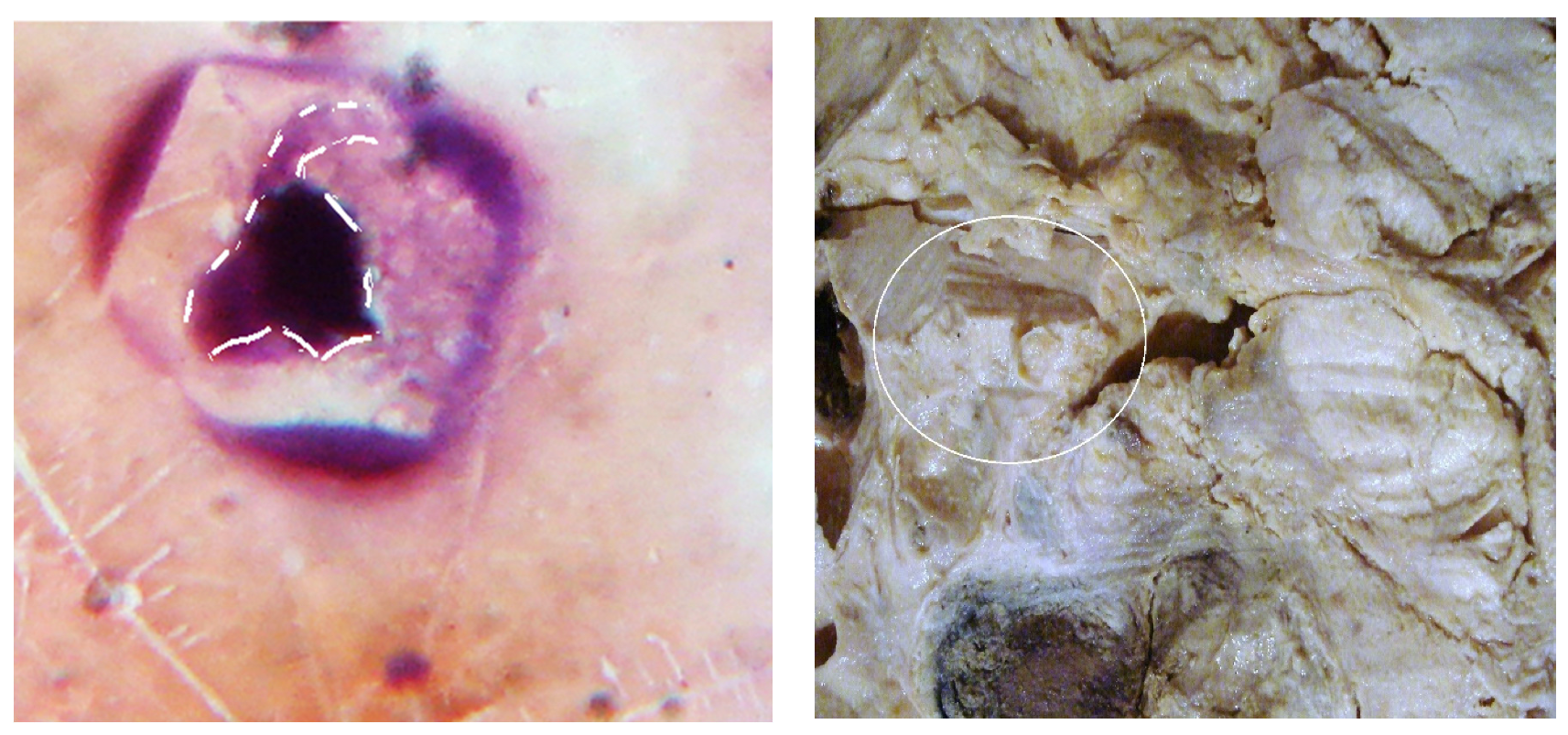 Preprints 117092 g010