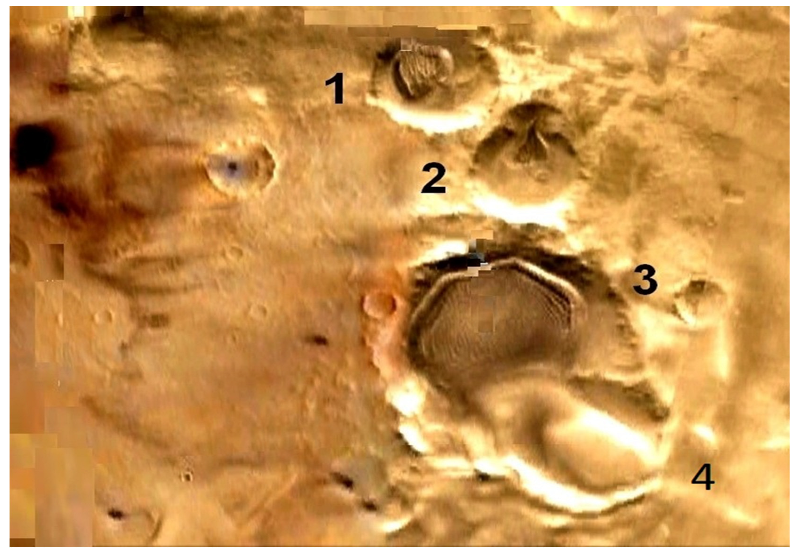 Preprints 117092 g013b