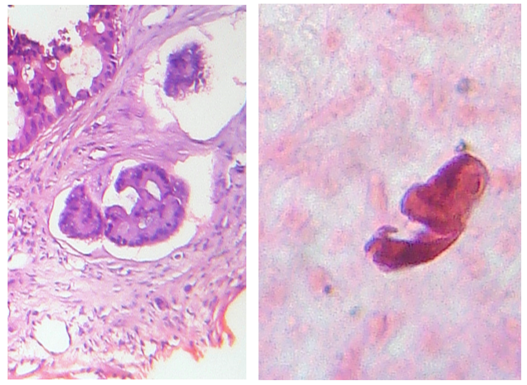 Preprints 117092 g018