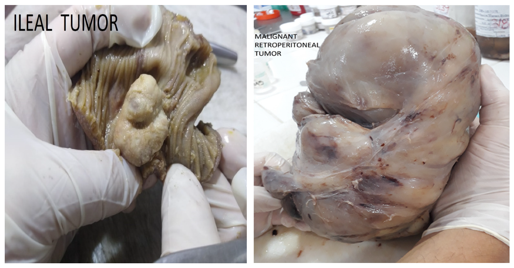 Preprints 117092 g020