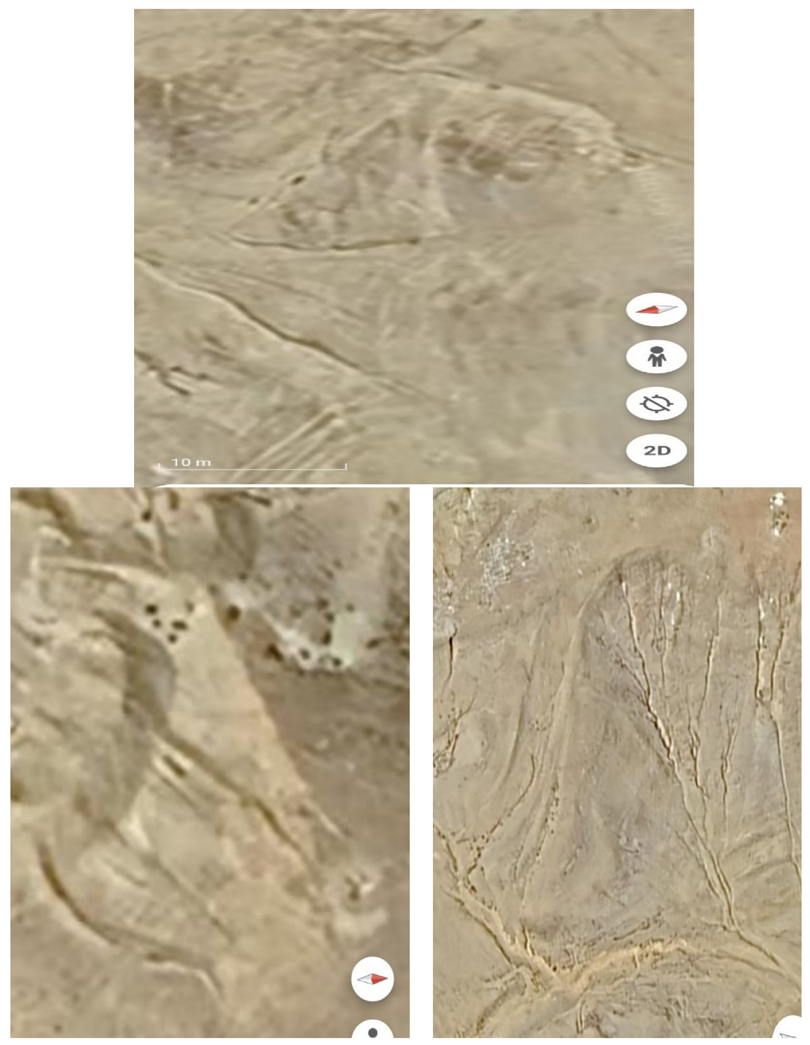 Preprints 117092 g022