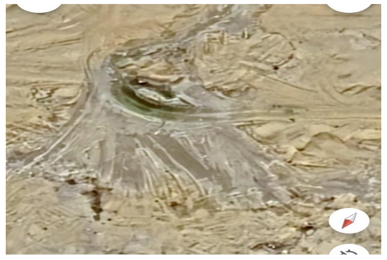 Preprints 117092 g023