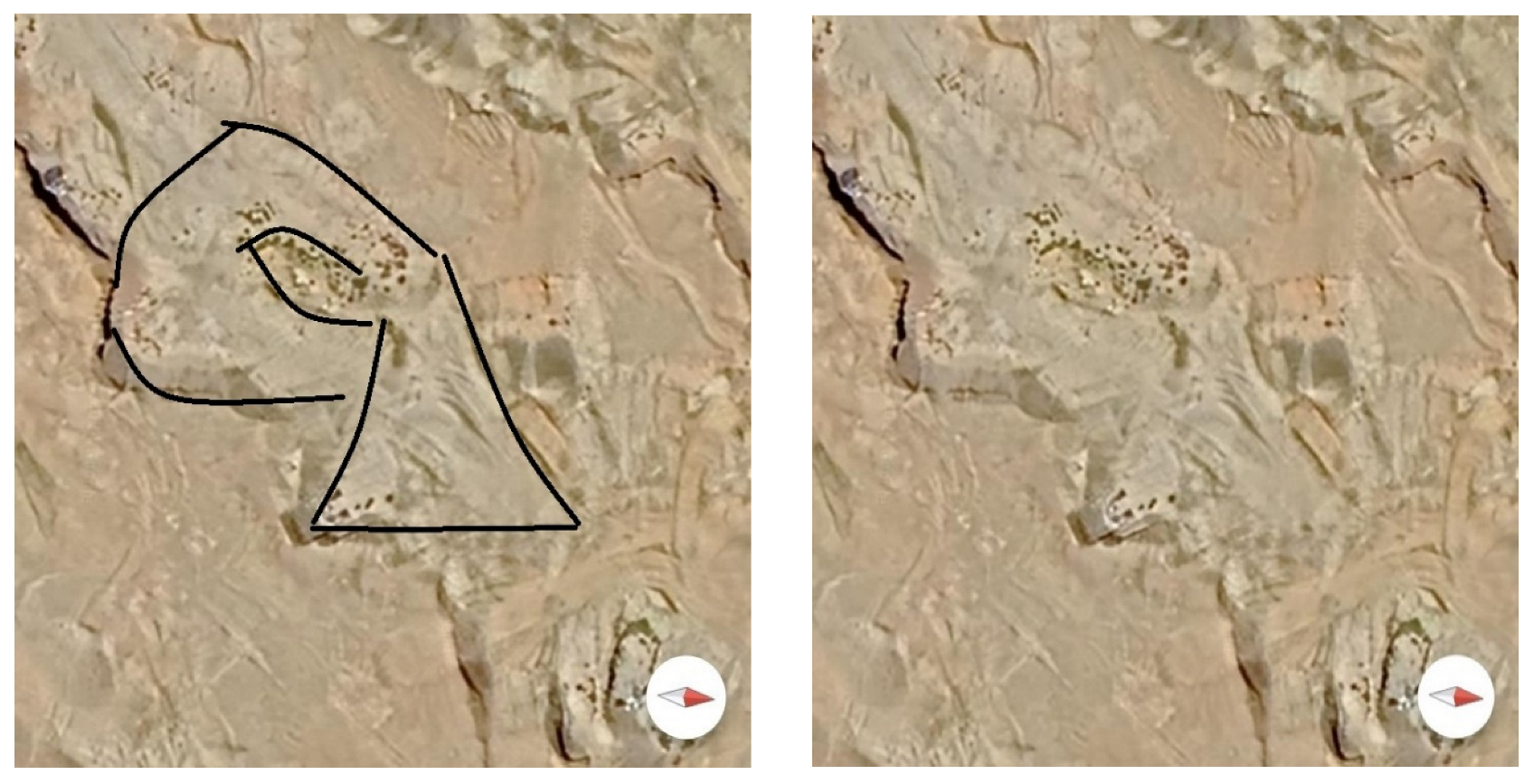 Preprints 117092 g024